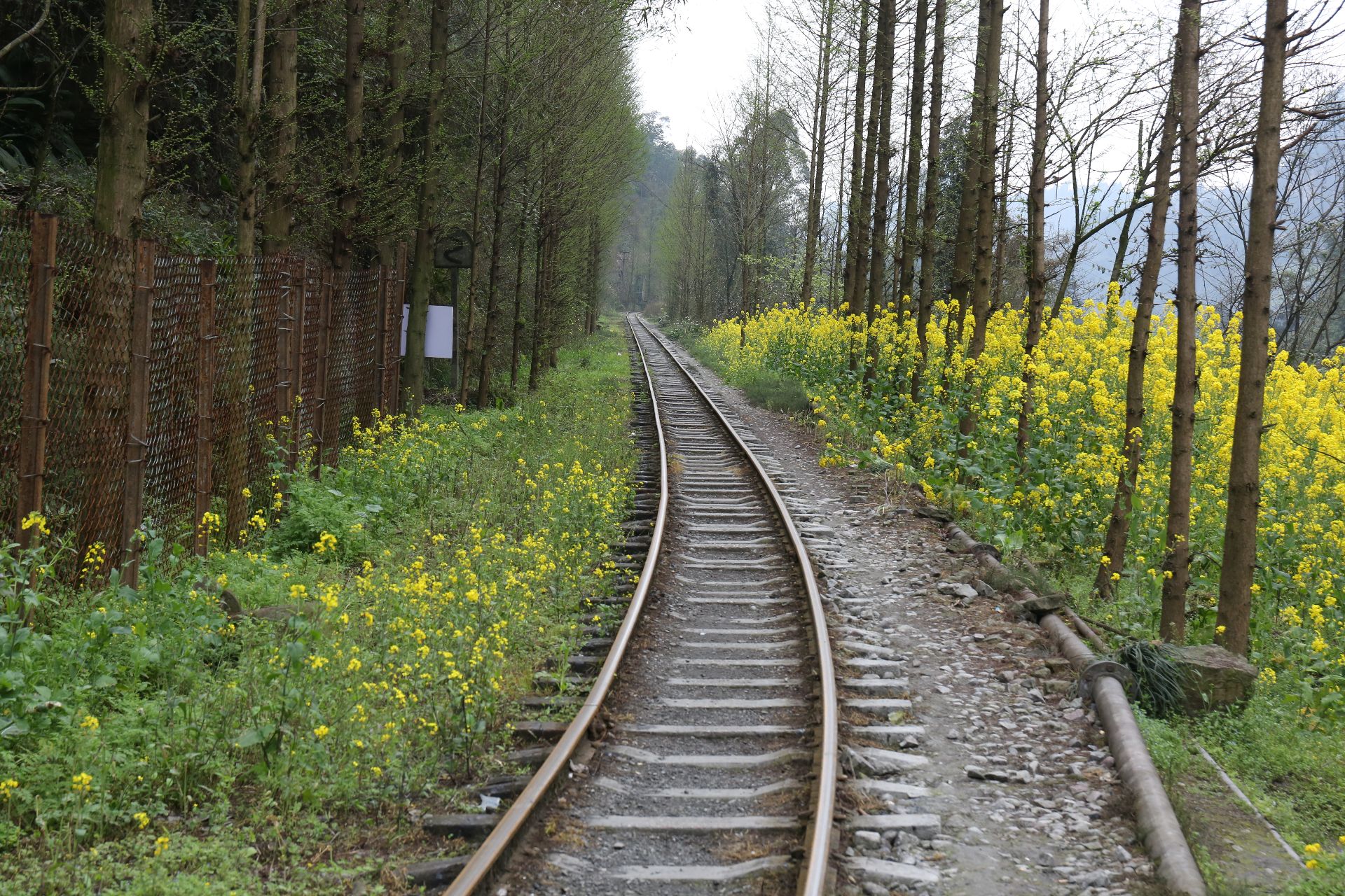 犍为芭蕉沟攻略,犍为芭蕉沟门票/游玩攻略/地址/图片/门票价格【携程