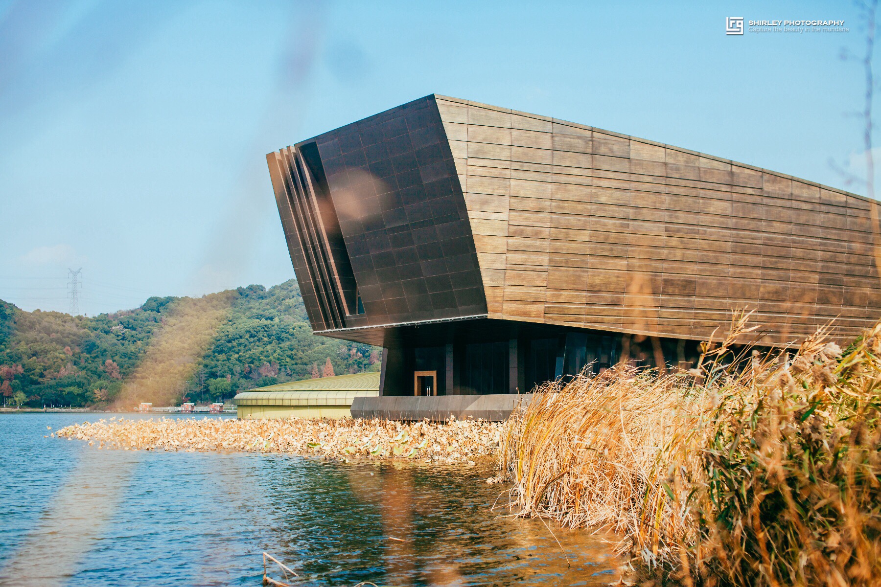 跨湖桥遗址博物馆