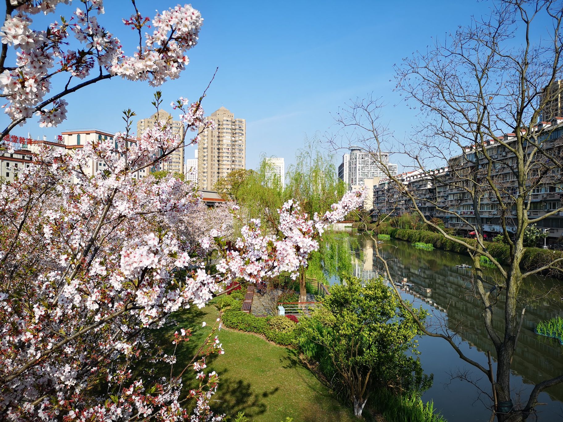 寧波兒童公園