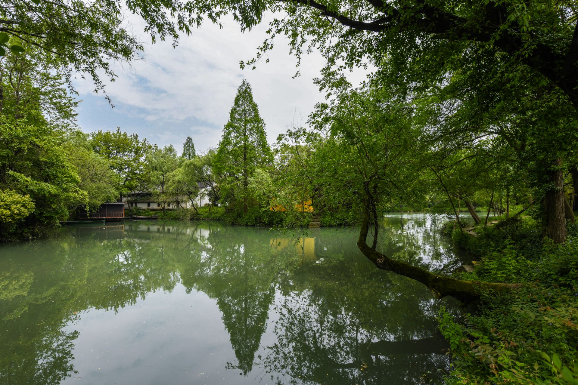 很多人都知道西溪湿地的深潭口这个地方,但是都不太知道深潭口景色
