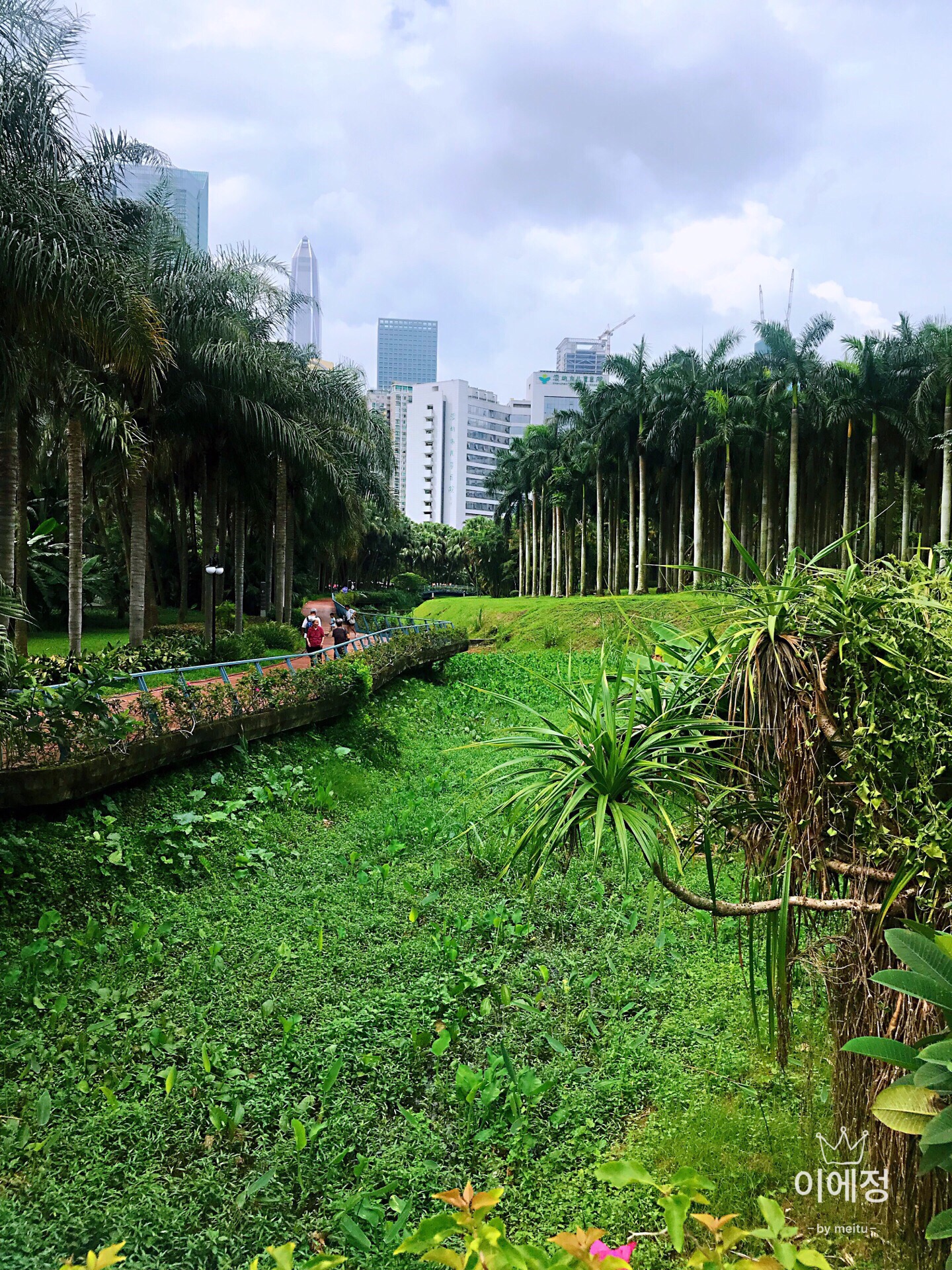 【携程攻略】广东莲花山公园景点,莲花山公园位于深圳市中心区,公园内种有大量热带、亚热带植物，其中…
