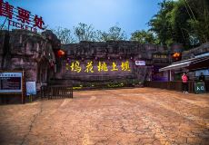 泸州桃花坞旅游景点游玩攻略-桃花坞旅游景点门票多少钱/价格表-团购