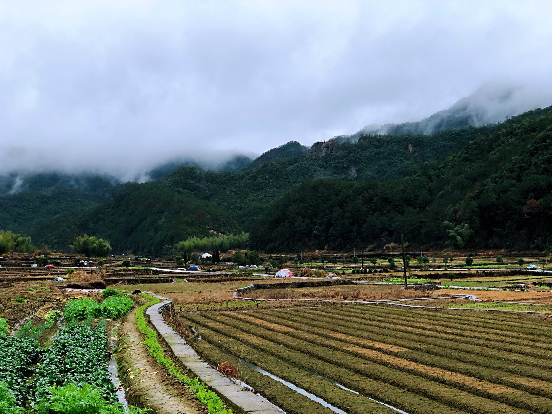 马上桥村