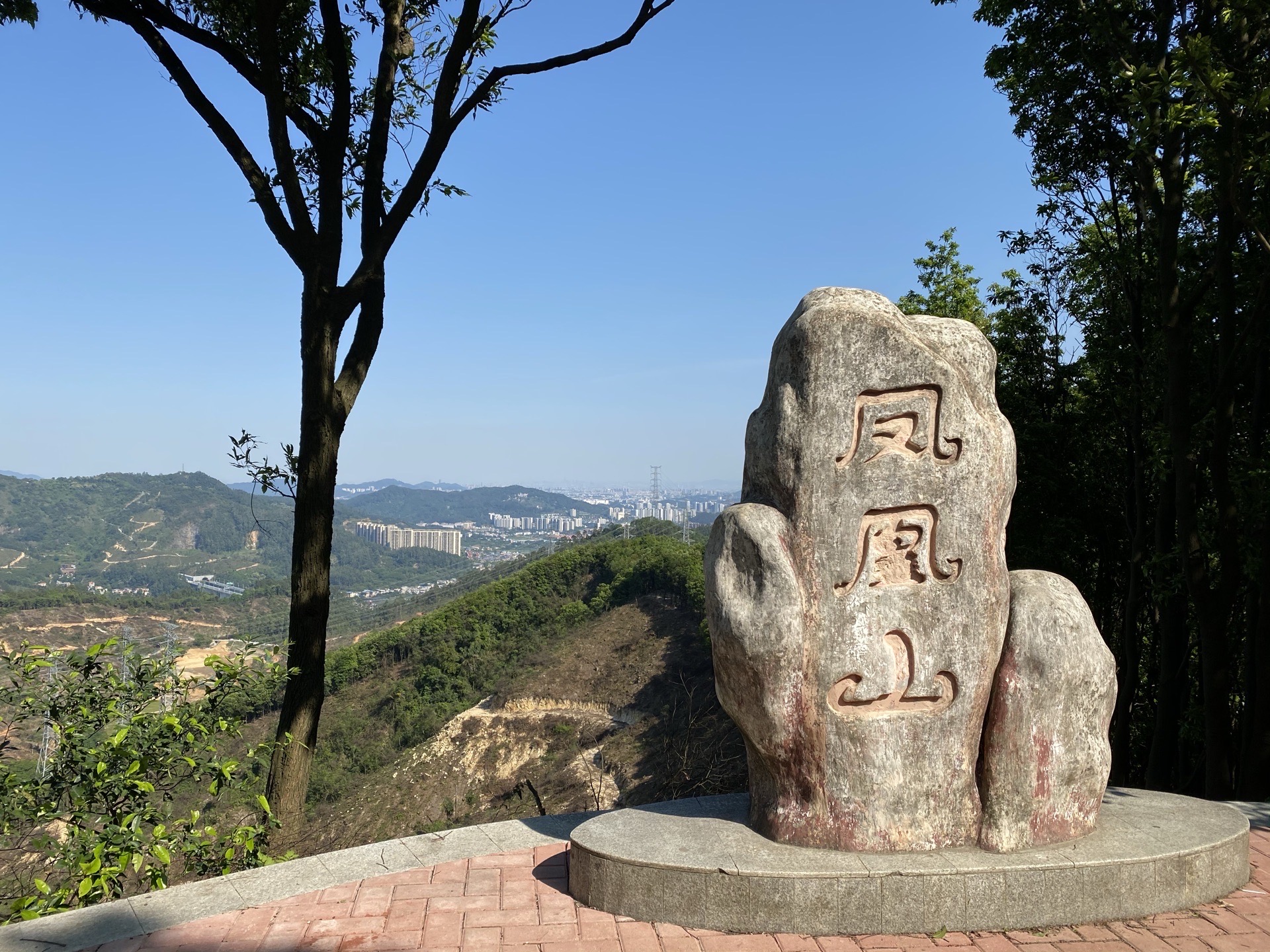 树德小马驹创意园