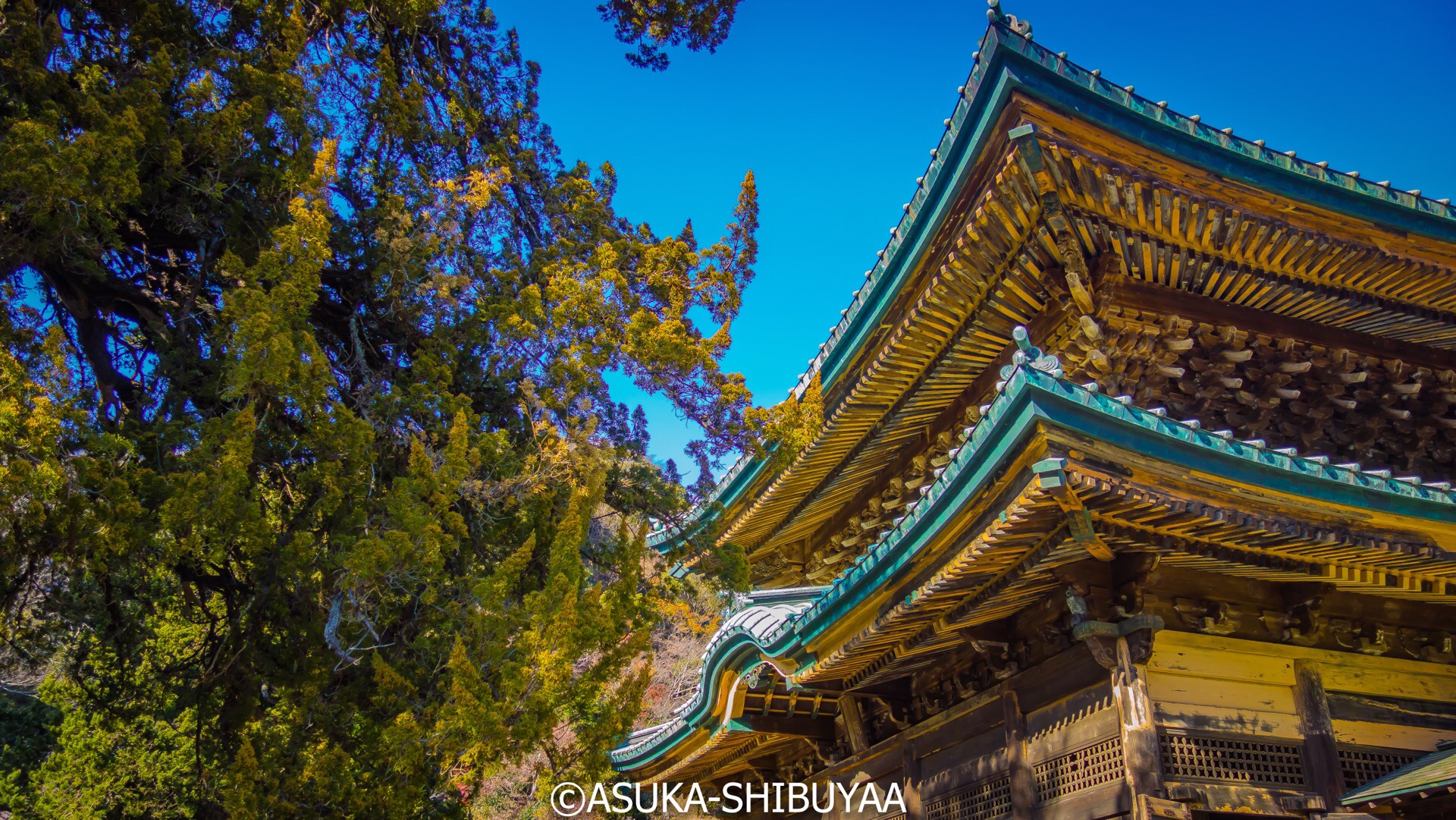 镰仓市建长寺攻略,镰仓市建长寺门票/游玩攻略/地址/图片/门票价格