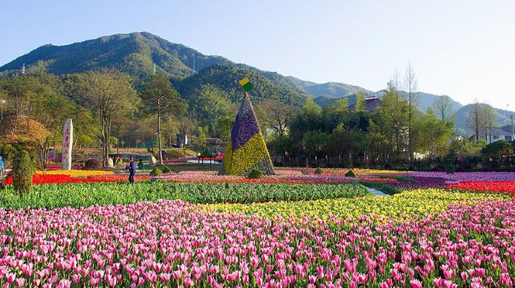 安吉花舞江南