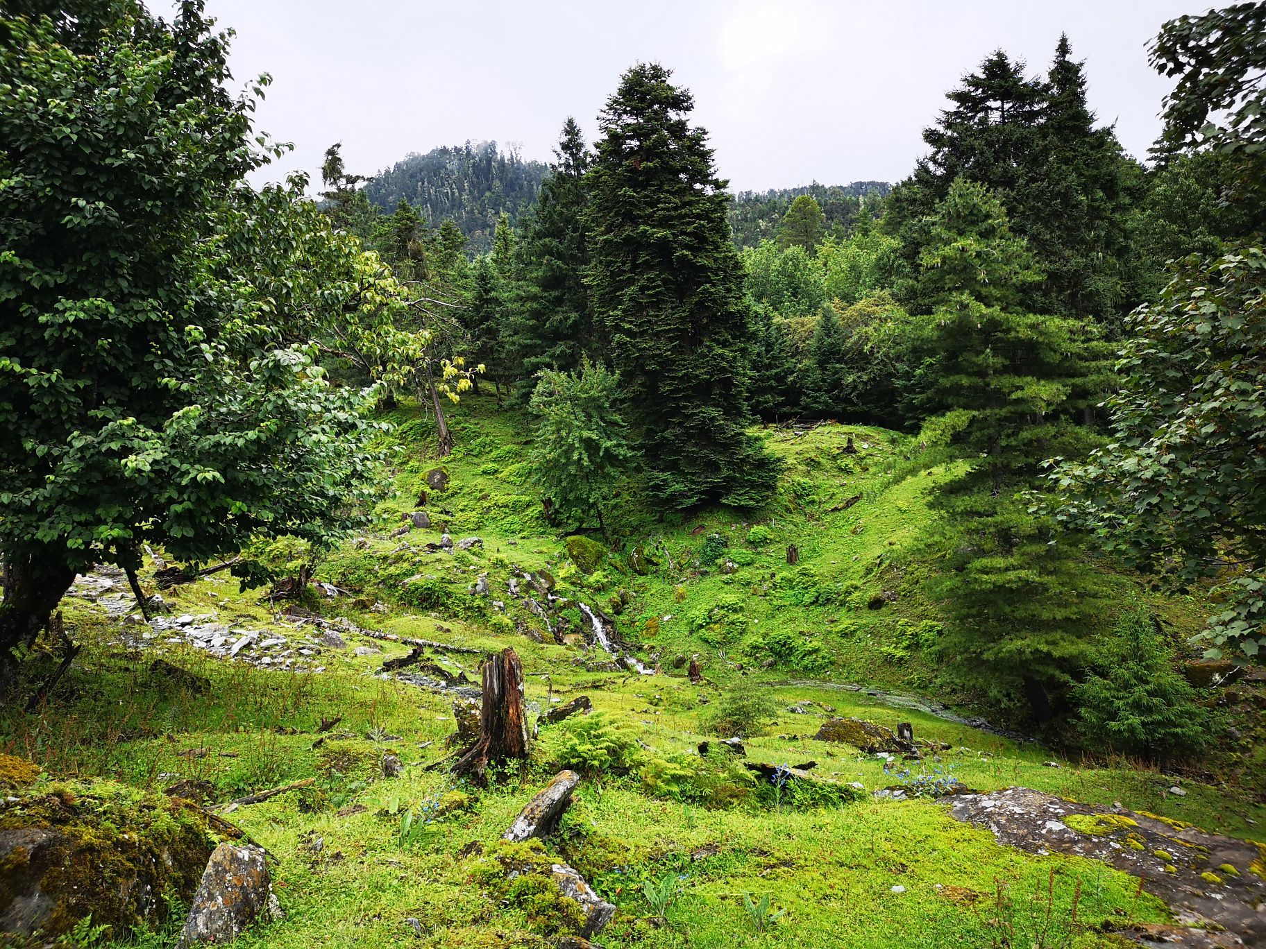 【携程攻略】香格里拉哈巴村景点,云南迪庆哈巴村,一个还不是太知名的