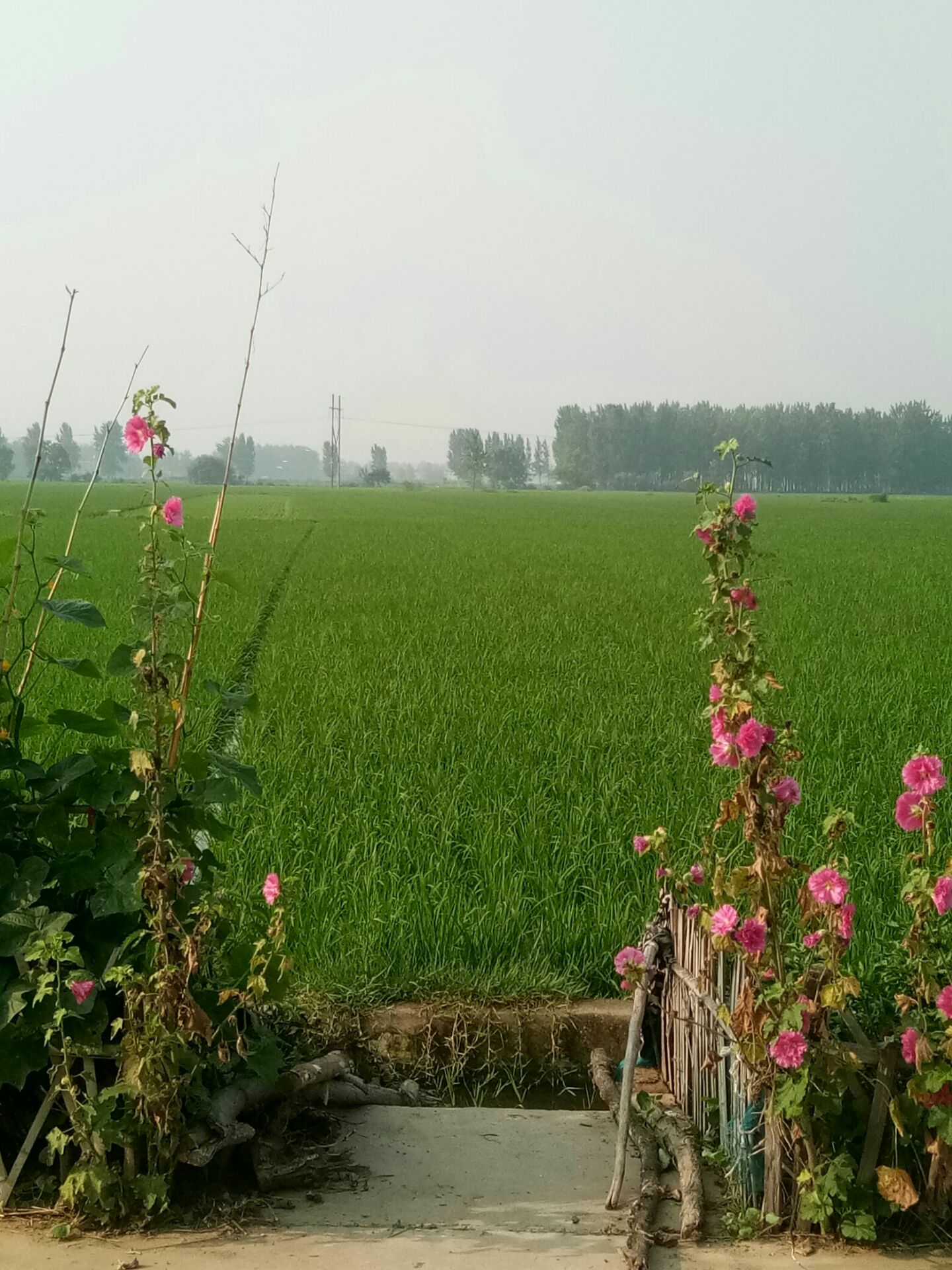 江店镇基督教堂