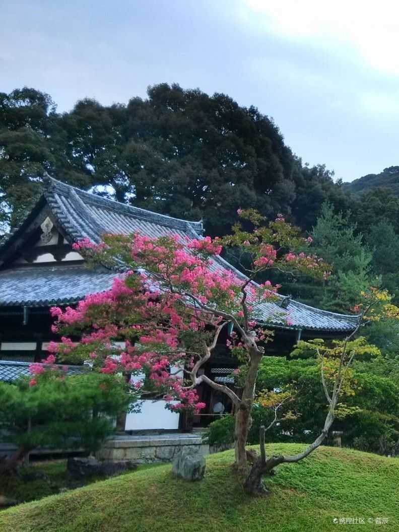 高山寺一座远离世俗喧嚣的京都名寺