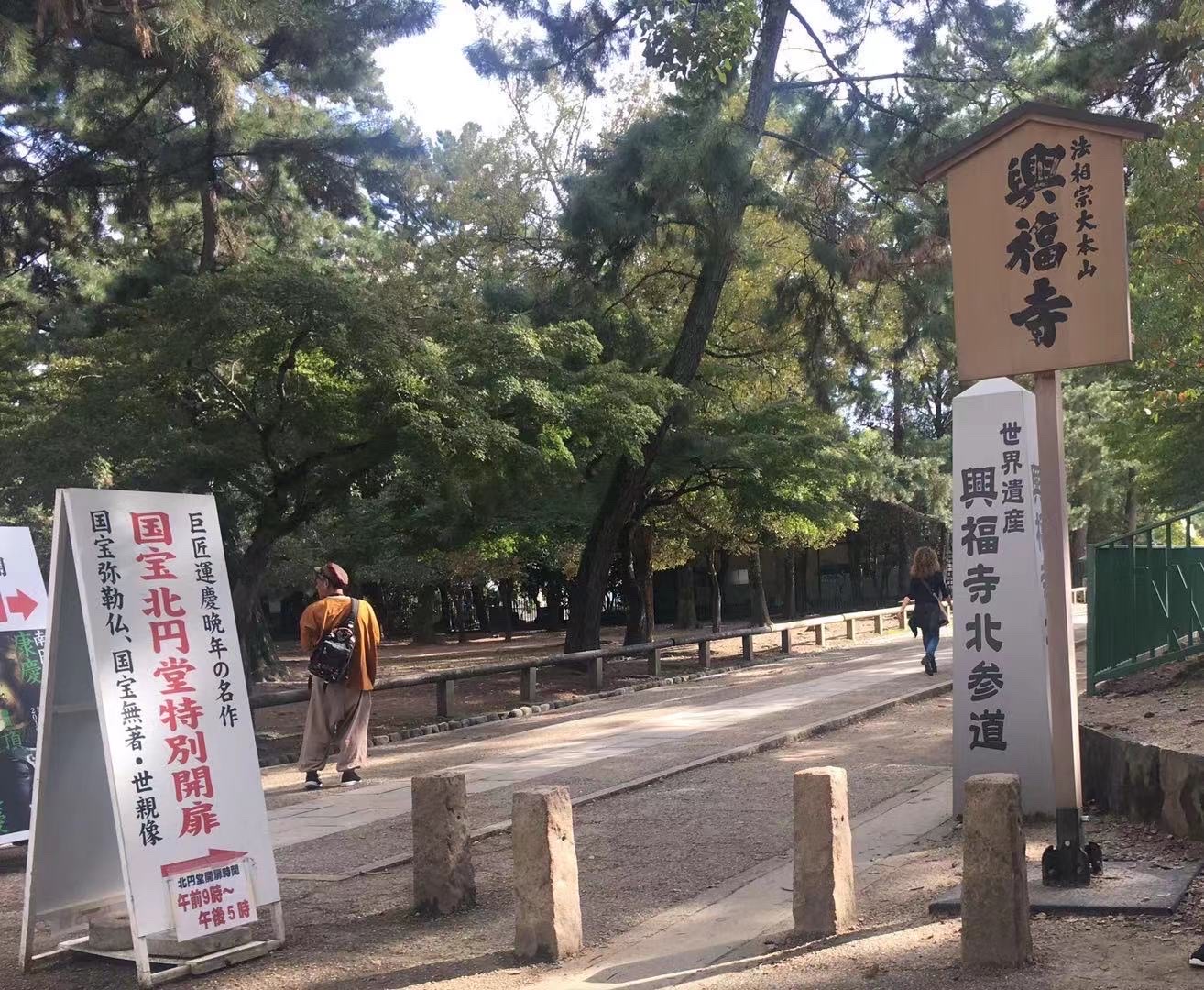 兴福寺 鹿真的不怕生