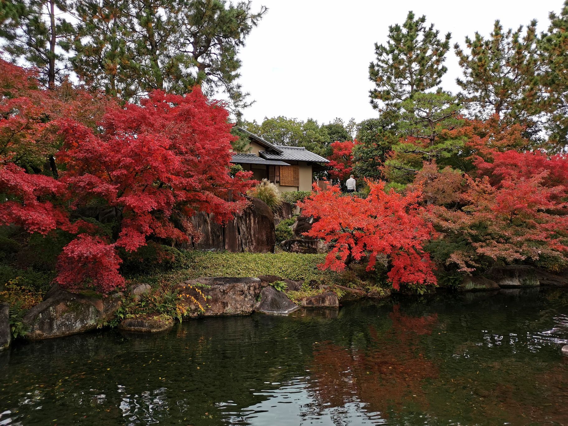 名古屋德川园好玩吗,名古屋德川园景点怎么样_点评_评价【携程攻略】