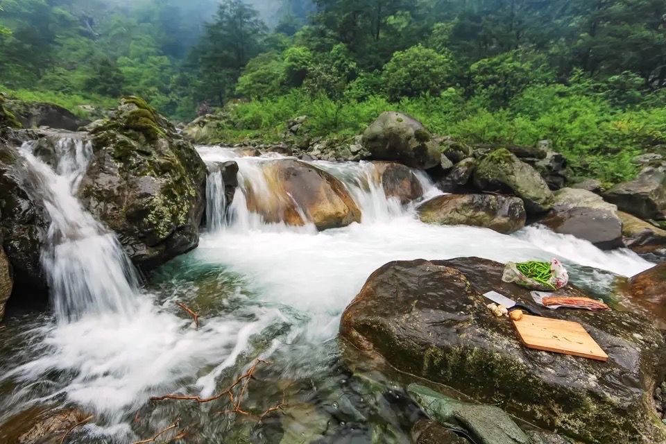 虹口自然保护区