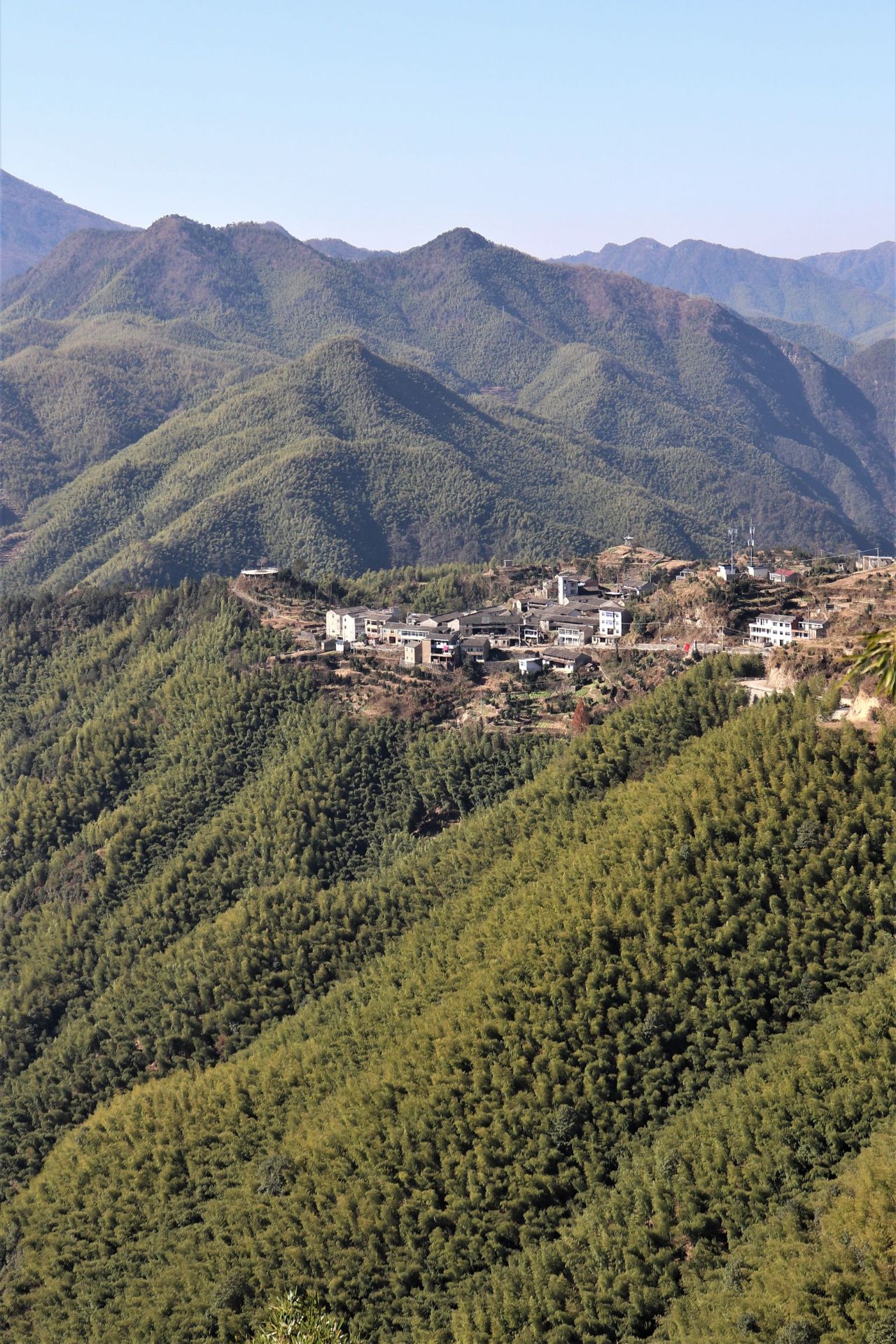 海拔730米的逐步村隐匿于浙江宁海黄坛镇双峰山区,西邻天台,北接新昌