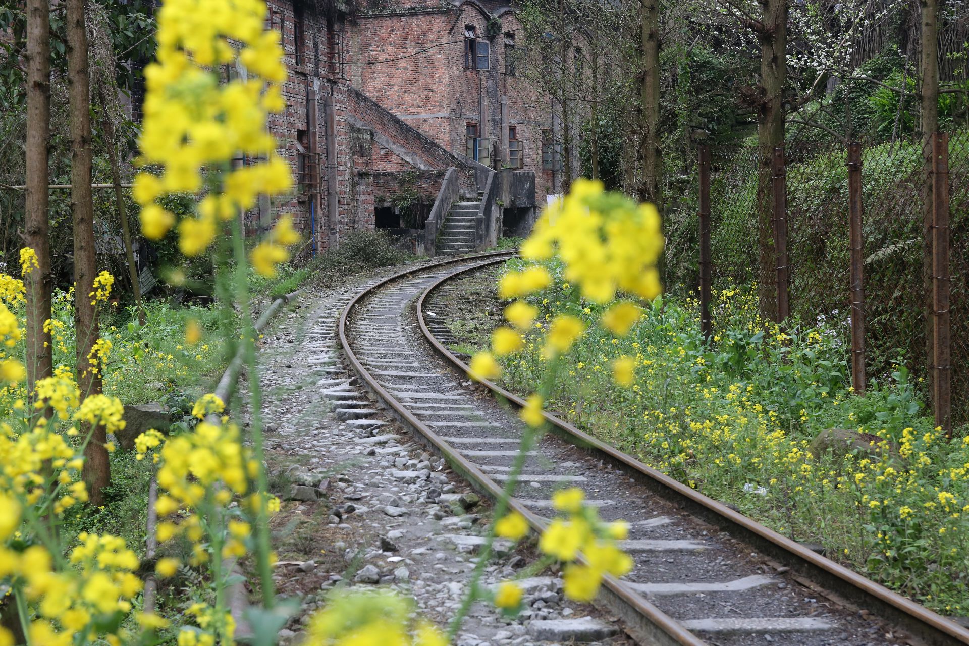 犍为芭蕉沟攻略,犍为芭蕉沟门票/游玩攻略/地址/图片/门票价格【携程