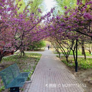 北京大学医学部中心花园