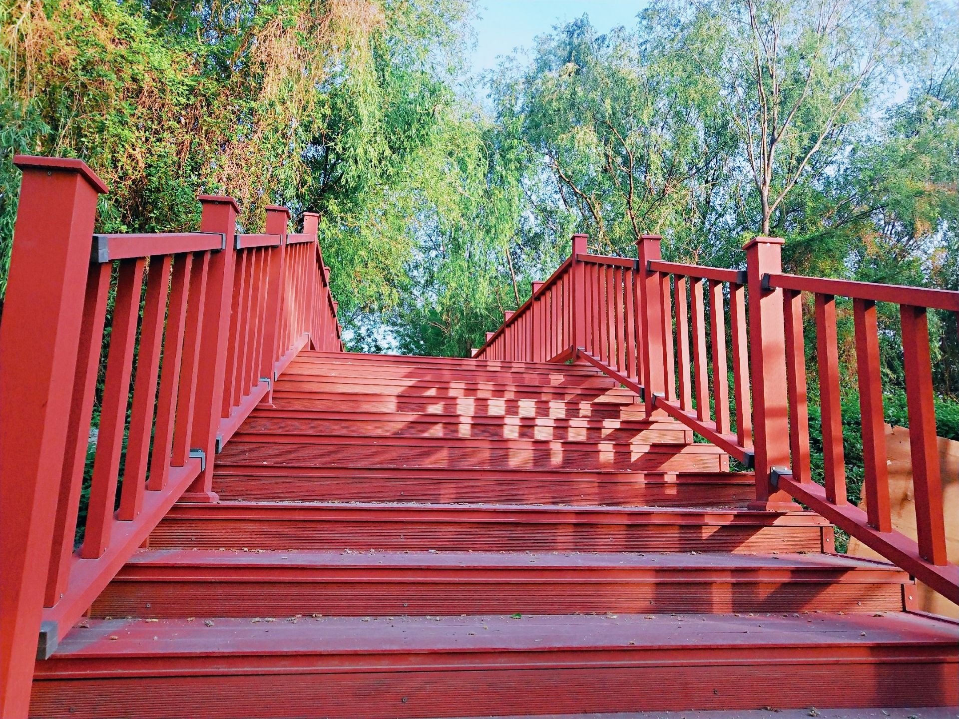 滨河路绿色长廊