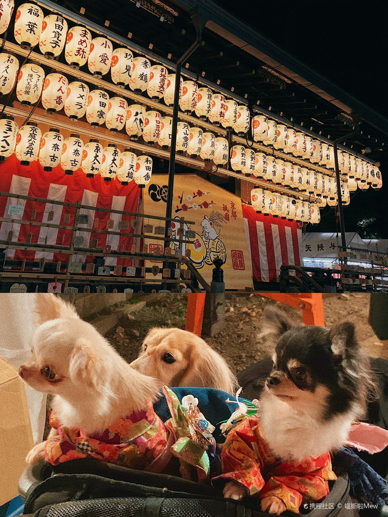 喵斯啦mewmew旅行 夜游八坂神社 求签 八坂神社自由行旅拍 旅游景点攻略 携程