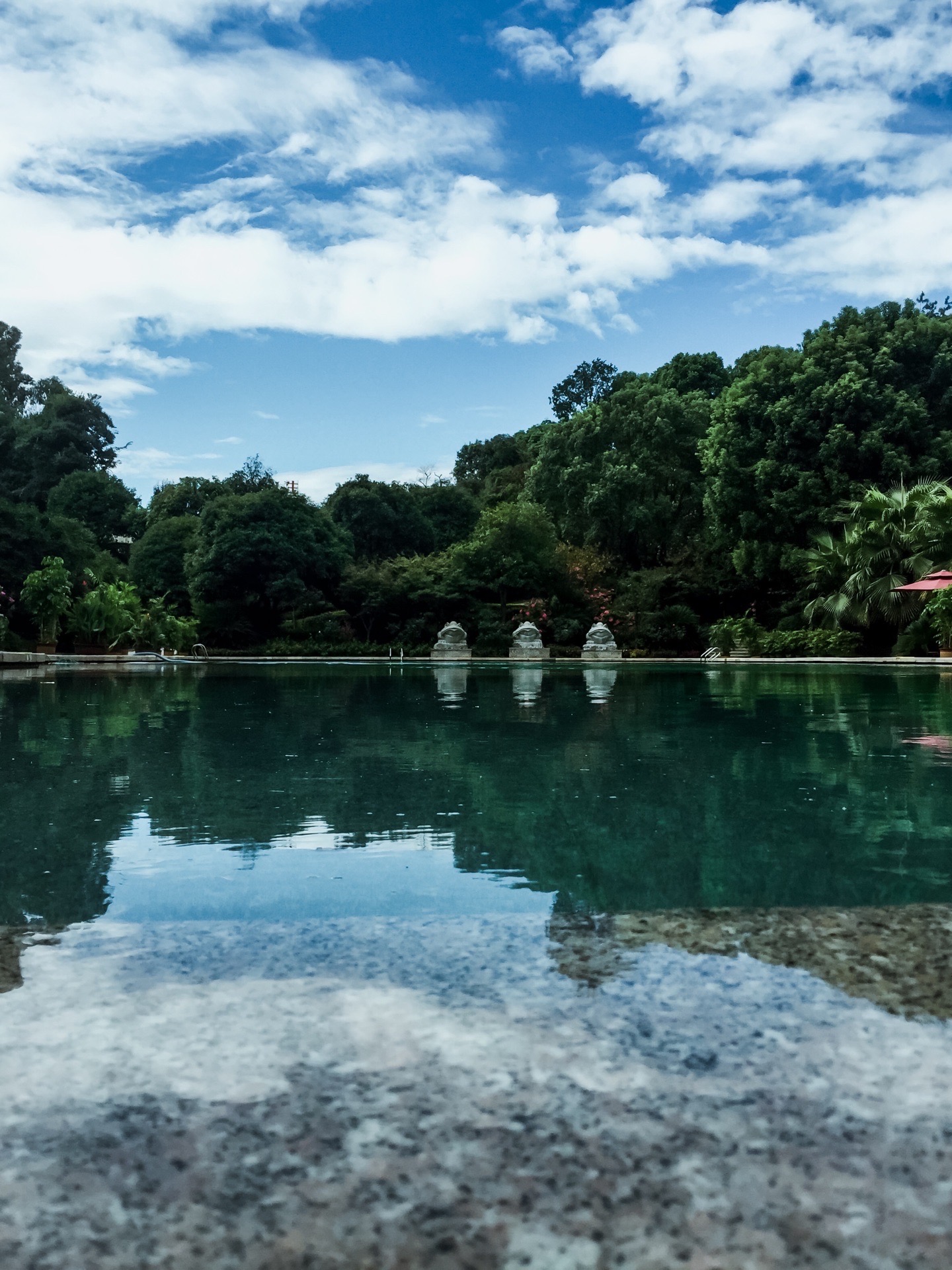 耒阳市蔡伦竹海风景区图片