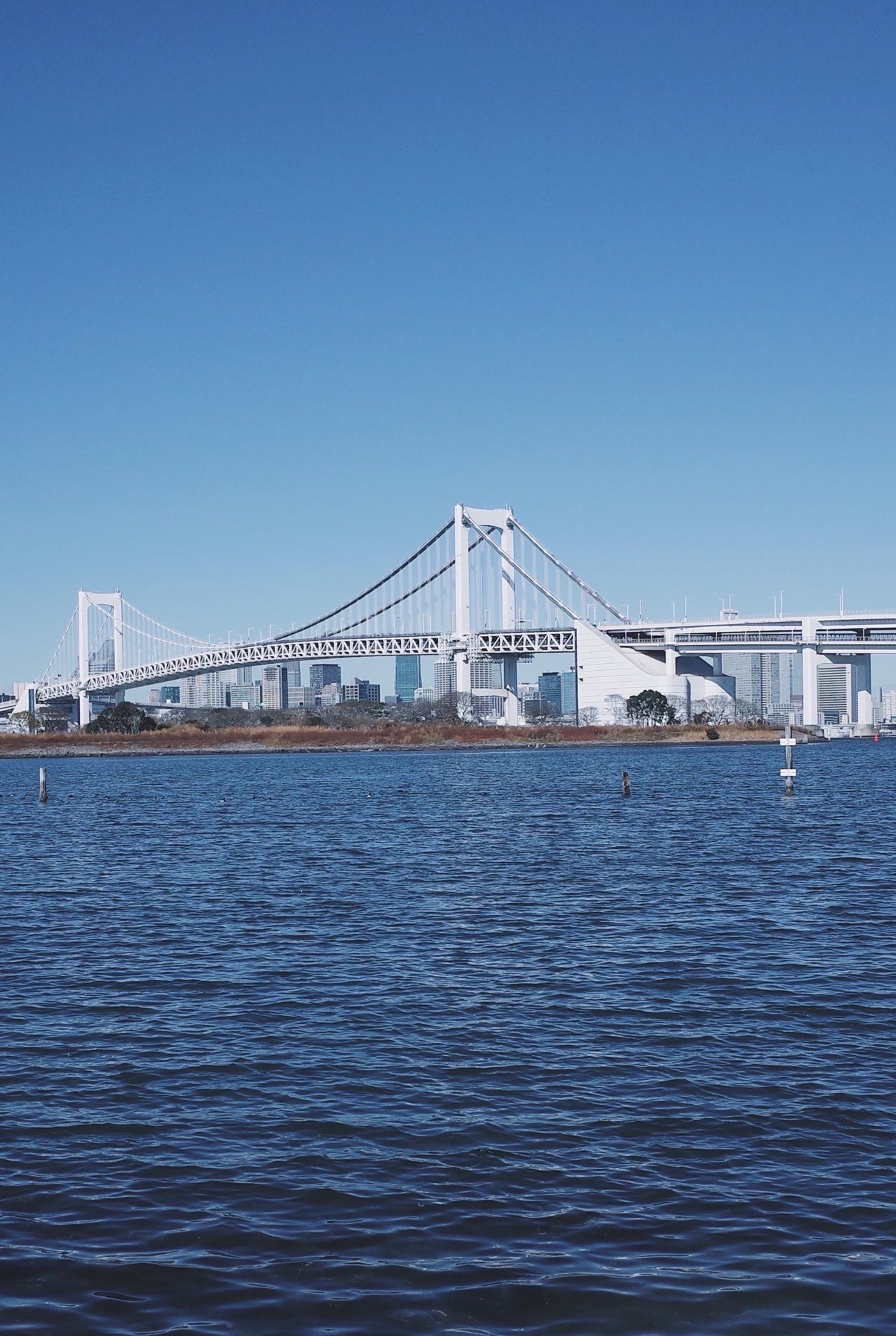 东京台场海滨公园好玩吗,东京台场海滨公园景点怎么样_点评_评价