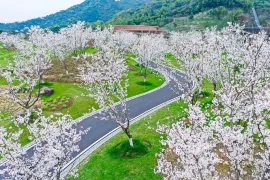 2-Day Deqing Tour: Adventure in Valley Magic Shang Zhu and Freshness of Xiazhu Lake National Wetland Park