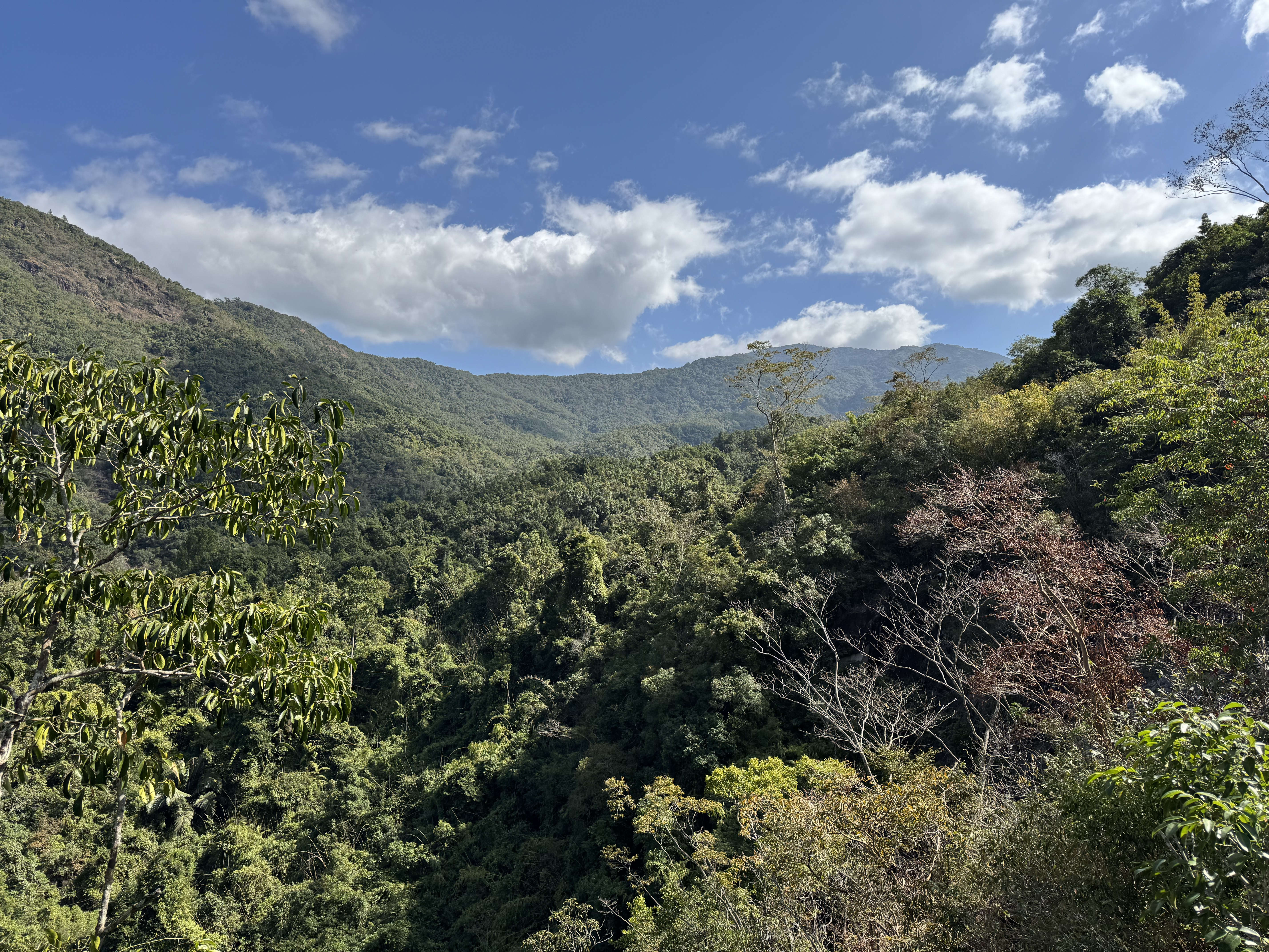 2-Day Changjiang Tour: Seaside Scenery at Qiziwan, Natural Wonders of Changhua Town and Bawangling