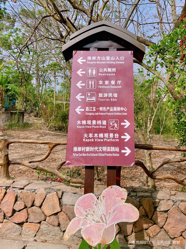 探寻诗意栖居：杭州西溪湿地民宿的魅力