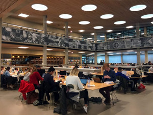 鹿特丹游记图文-鹿特丹伊拉斯姆斯大学初印象 （Erasmus University Rotterdam，EUR）