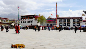 西藏游记图文-桃花三月游西藏（五）：拉萨（八廓街、小昭寺、布达拉宫广场、罗布林卡）