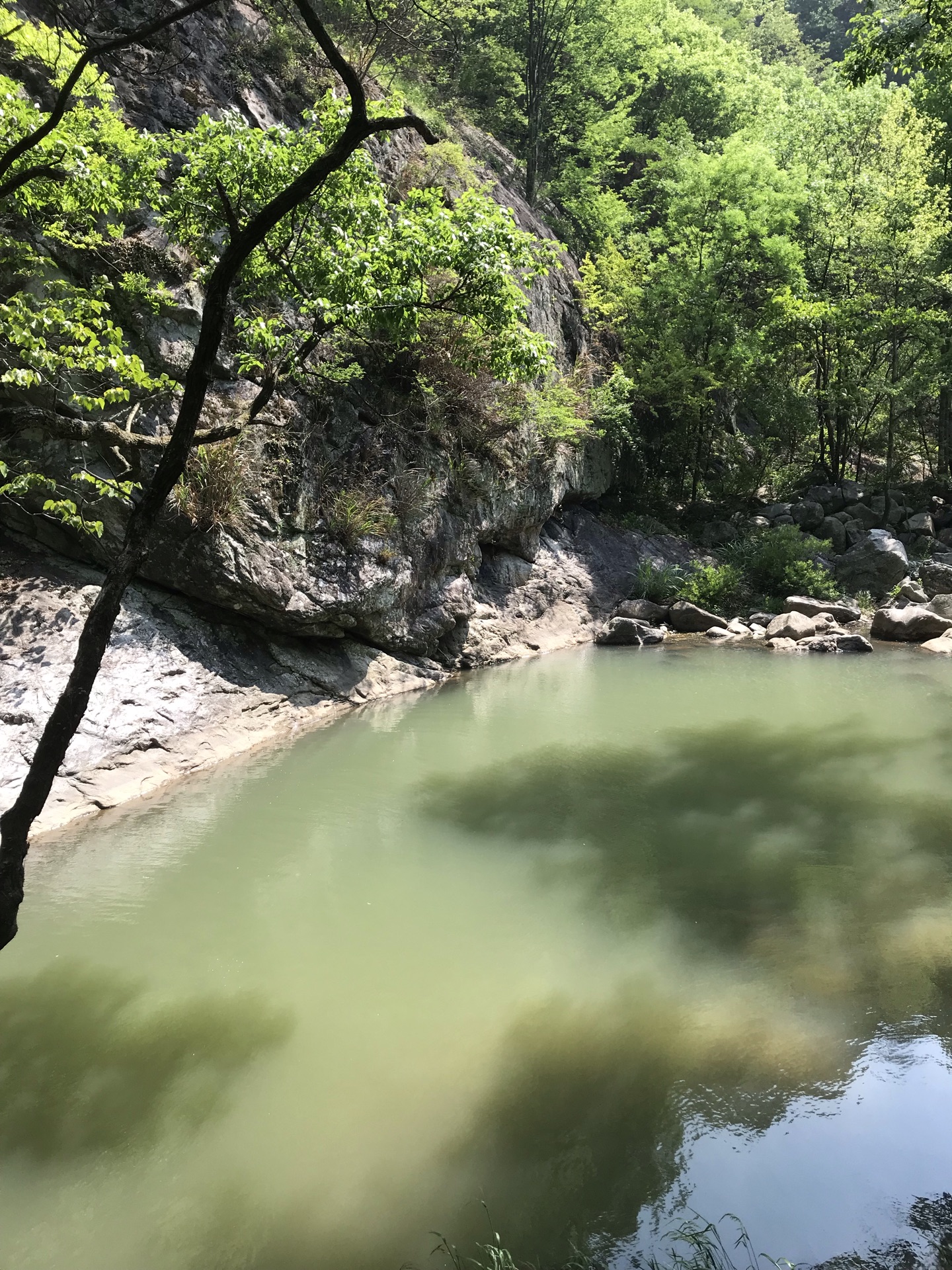 英山湖北英山大別山南武當旅遊區景點怎麼樣_點評_評價【攜程攻略】