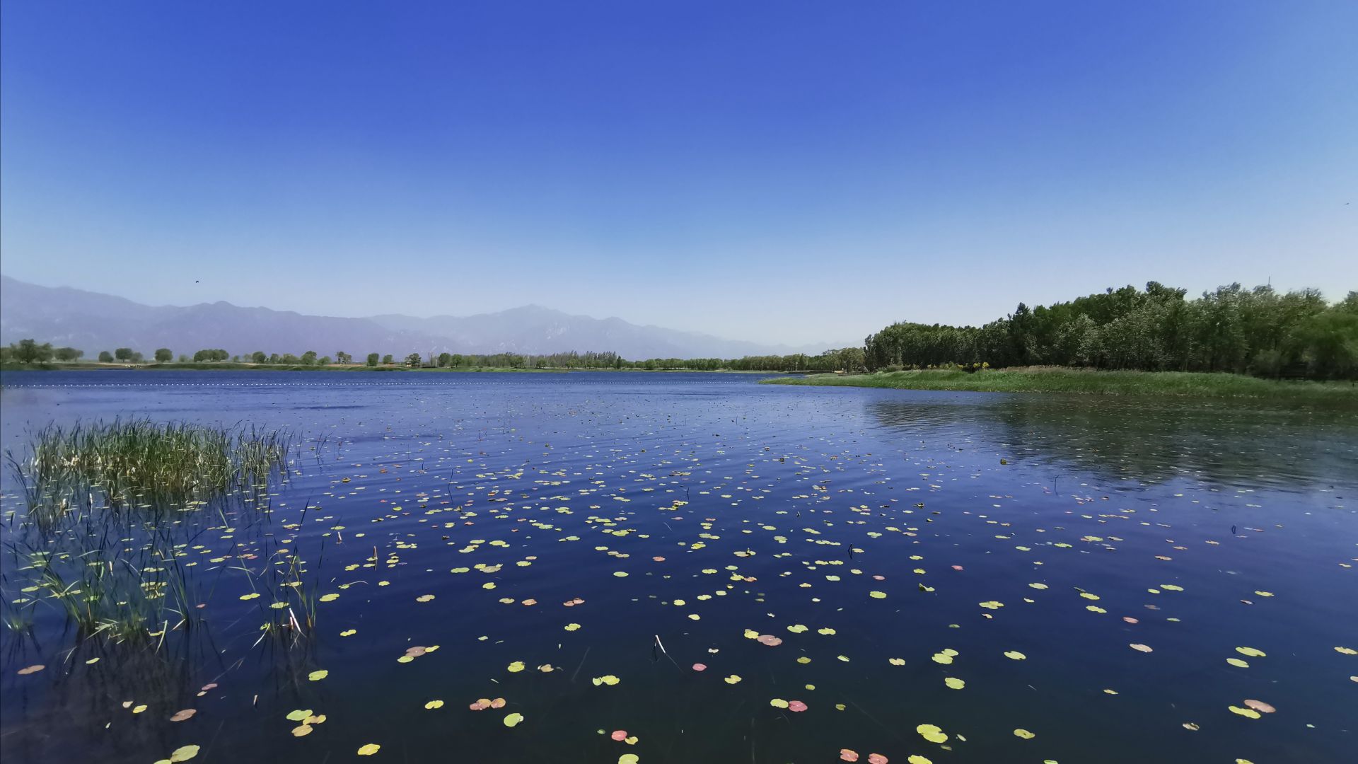 【攜程攻略】北京野鴨湖國家溼地公園適合家庭親子旅遊嗎,野鴨湖國家