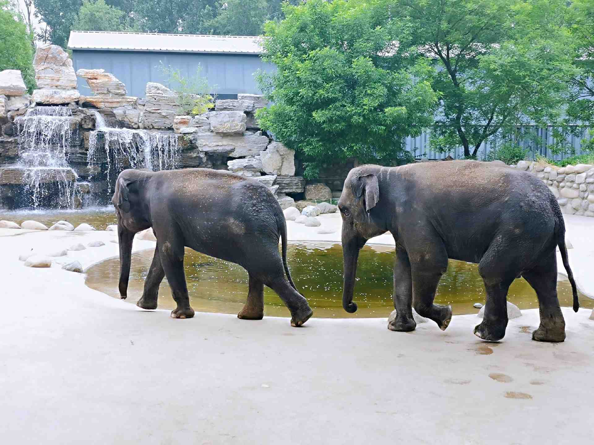 北京野生動物園