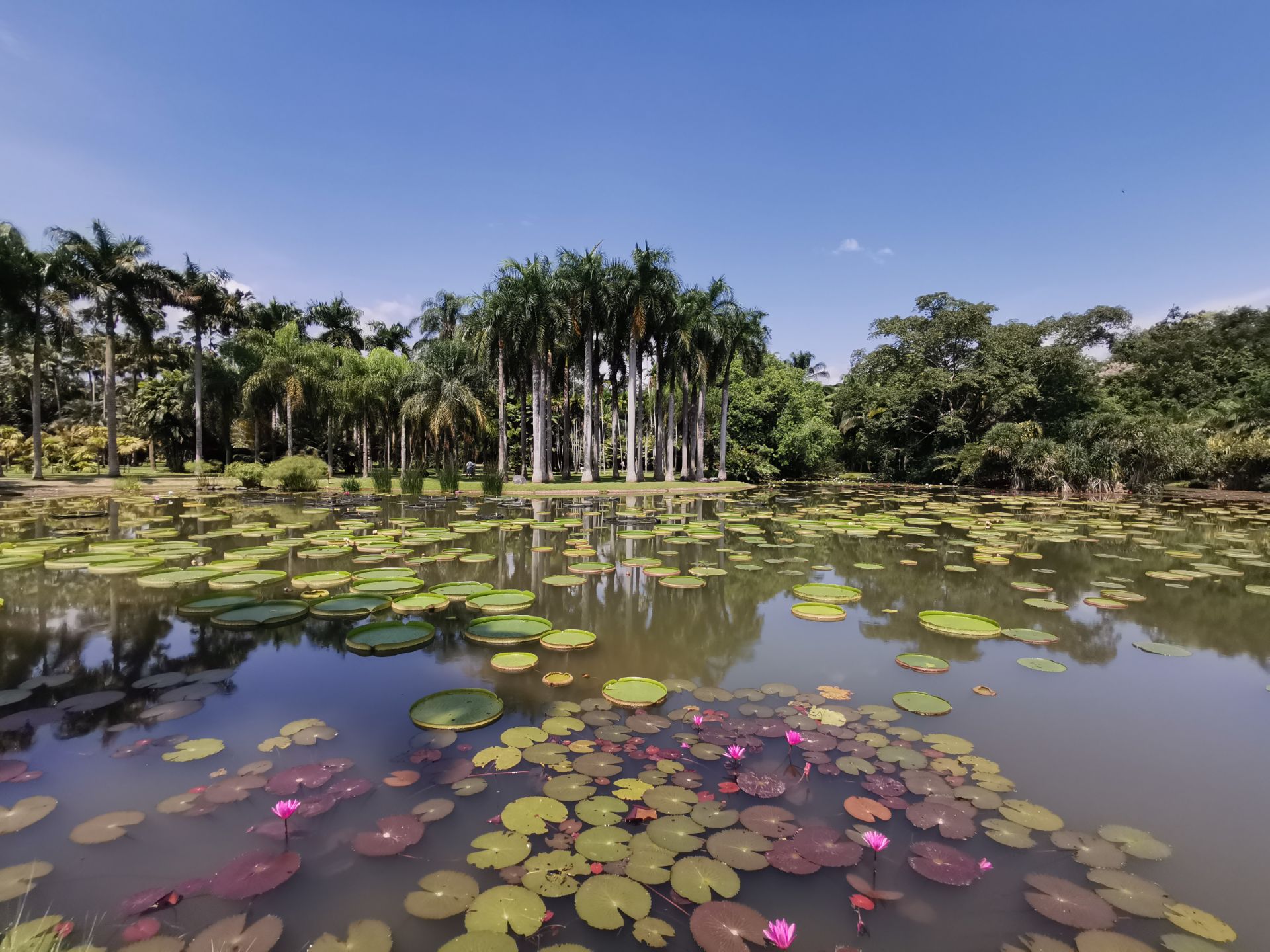 中科院西双版纳热带植物园