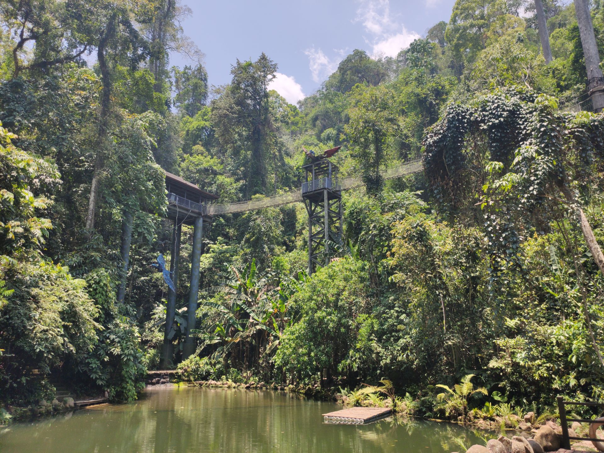 西雙版納熱帶雨林國家公園望天樹景區