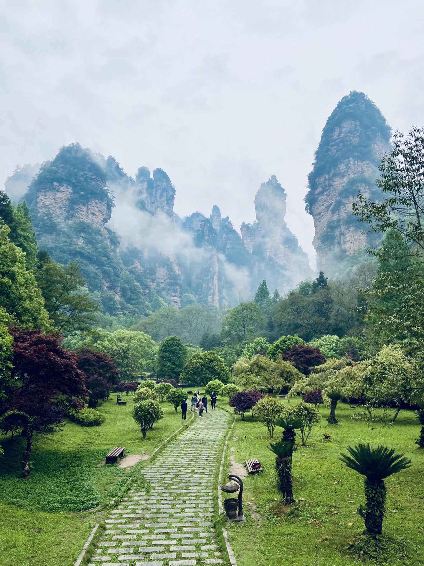 关于张家界不要钱的景点的信息