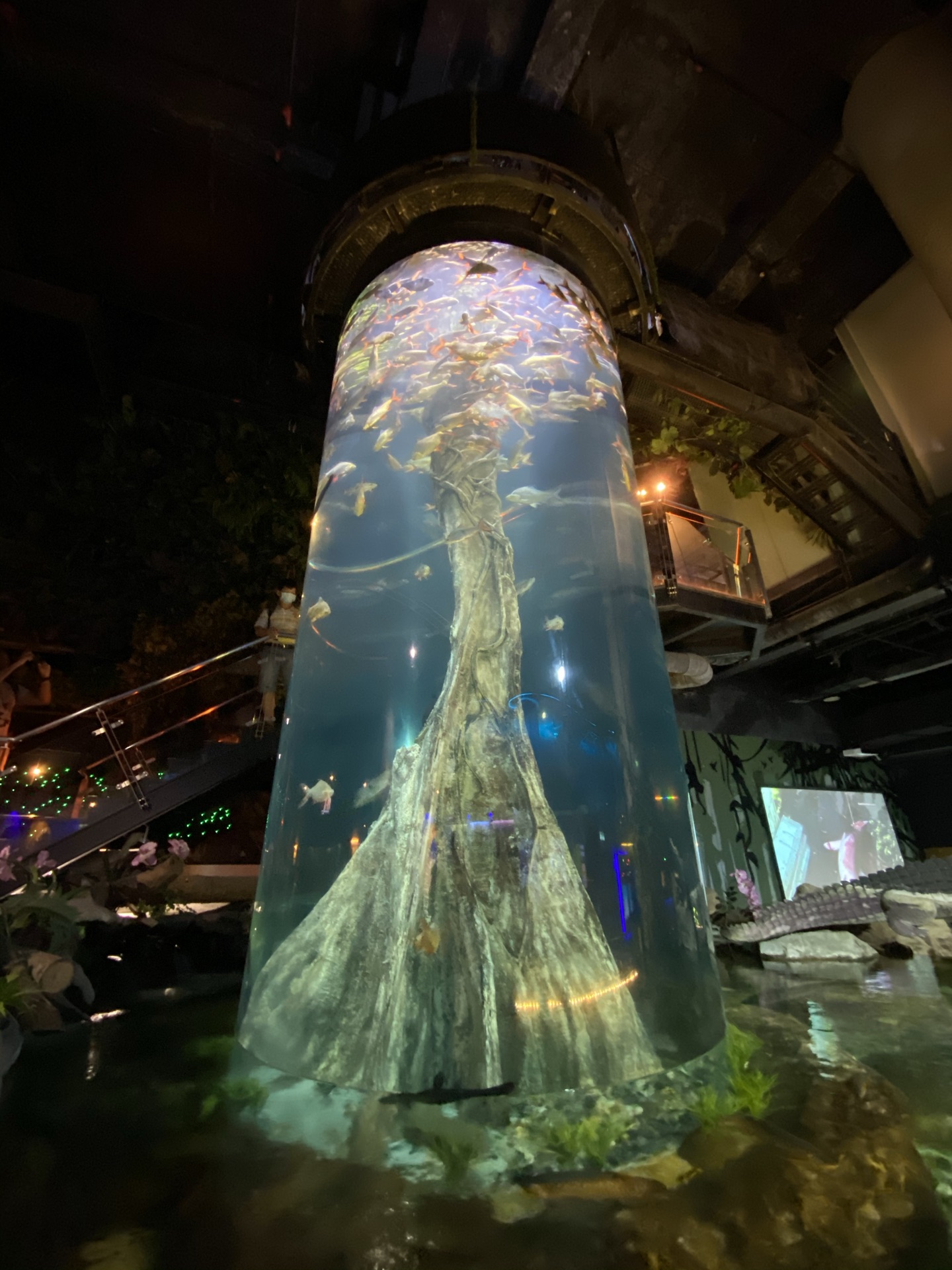 吉隆坡城中城水族馆