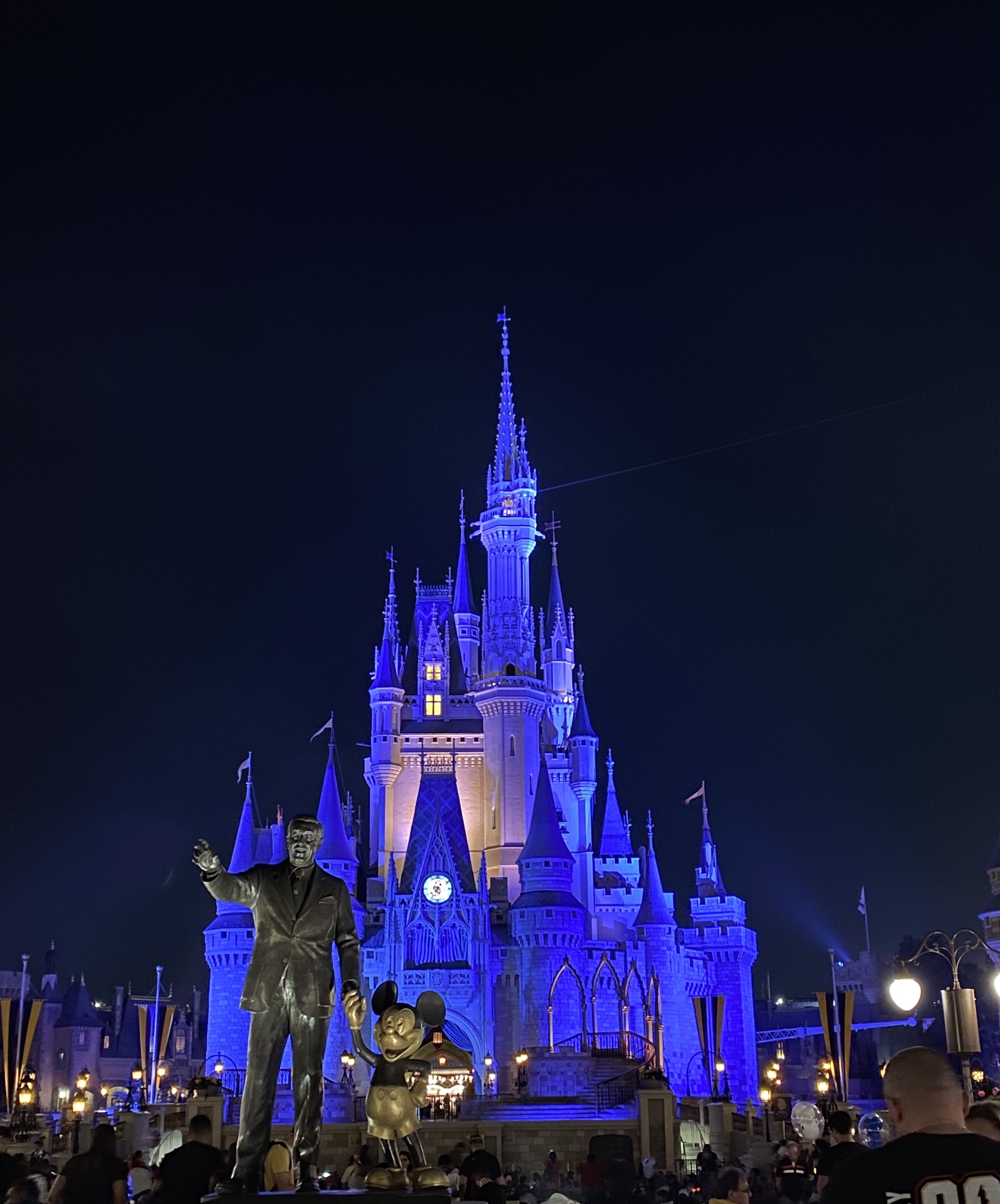 华特迪士尼世界