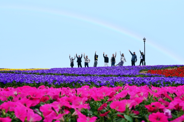 杭州灣海上花田