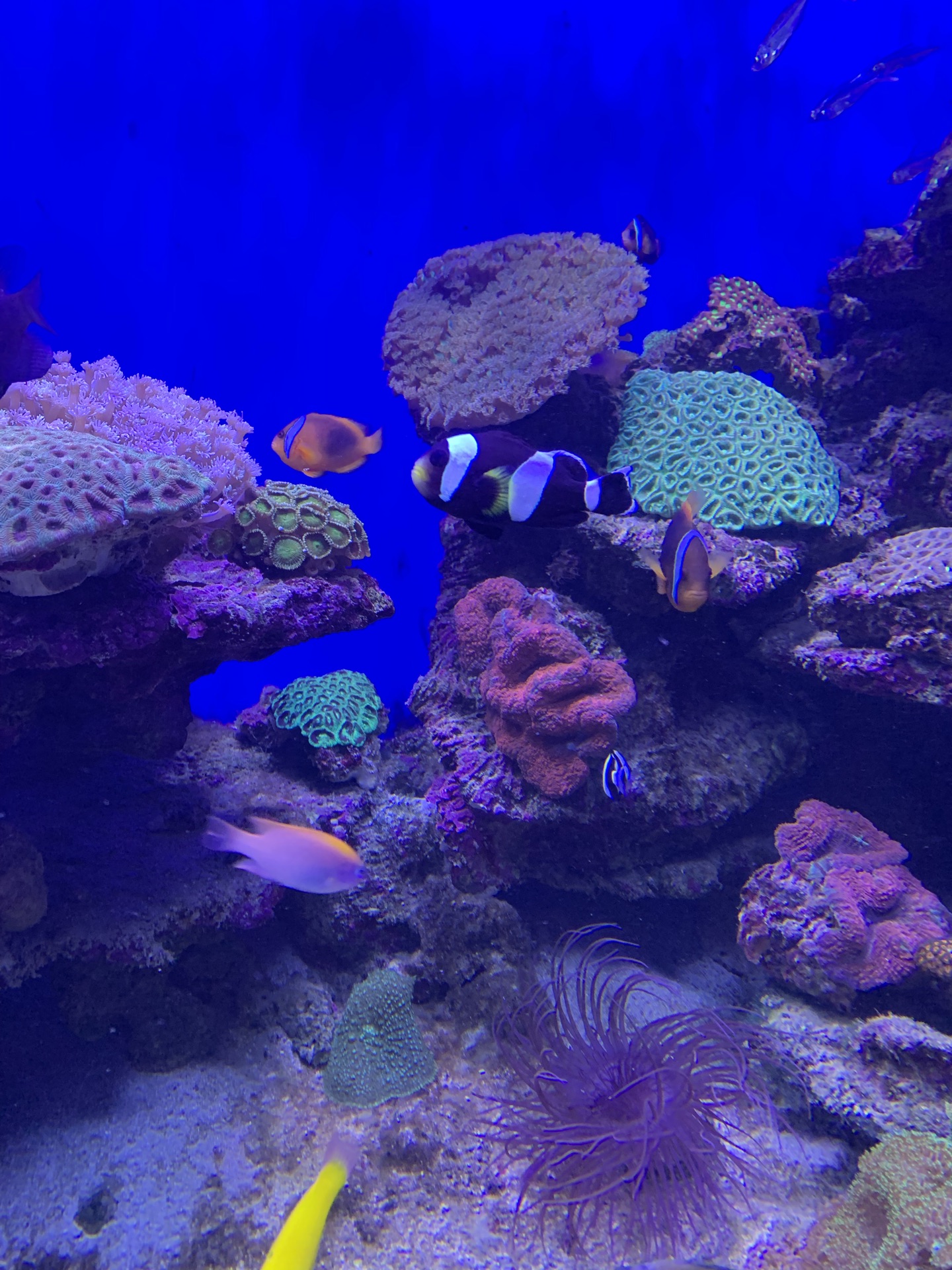 北海海底世界