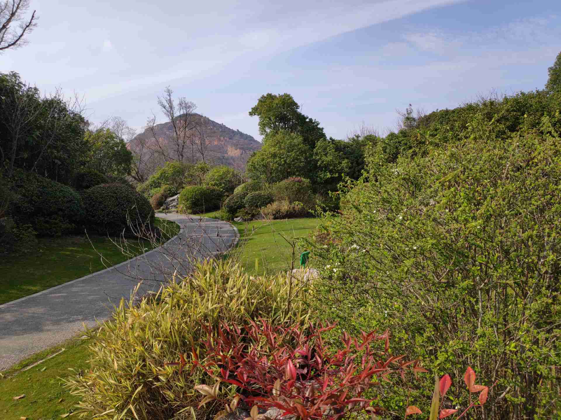 阳山桃花岛景观公园