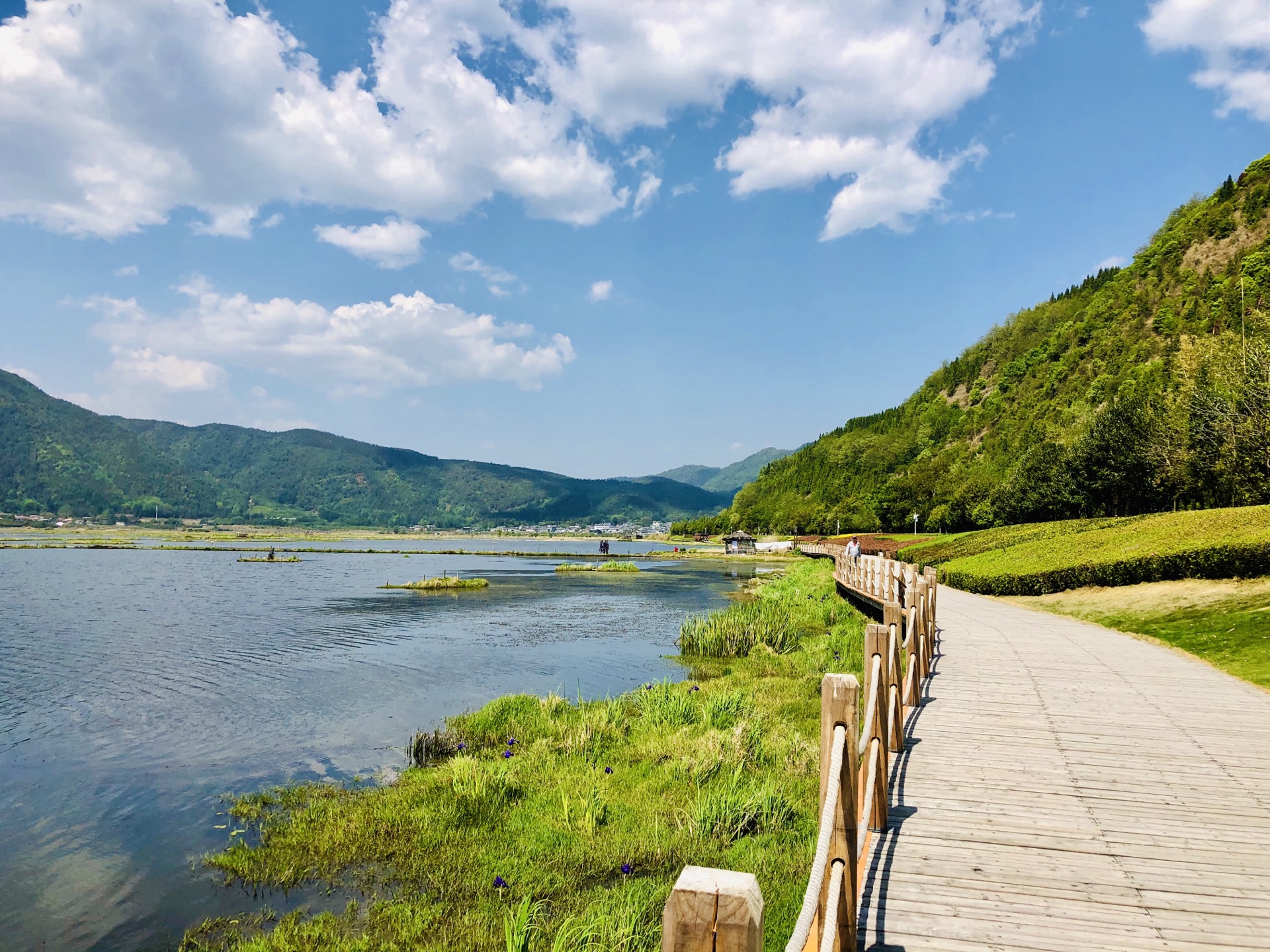 北海湿地