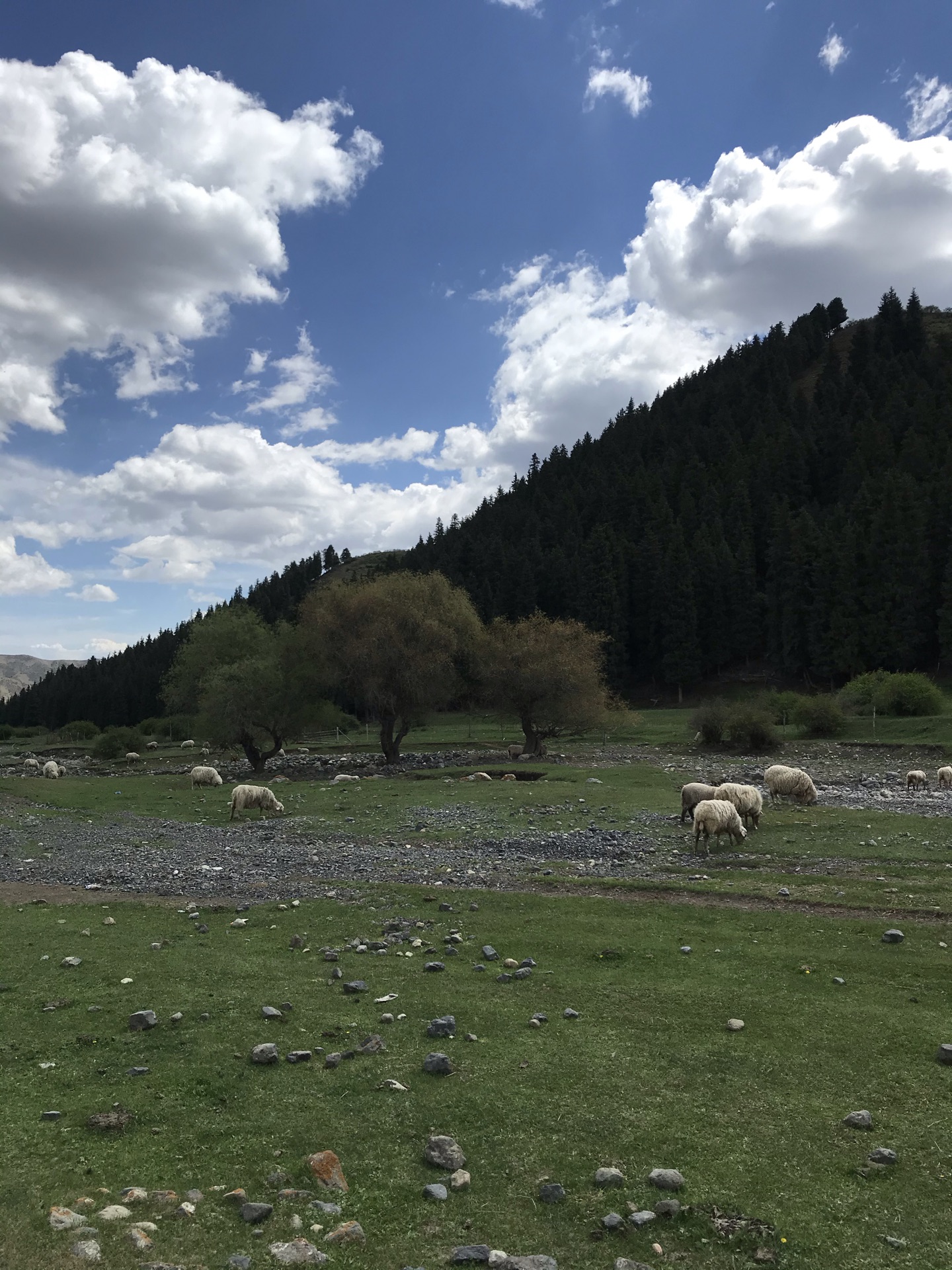 【攜程攻略】烏魯木齊南山牧場適合家庭親子旅遊嗎,南山牧場家庭親子