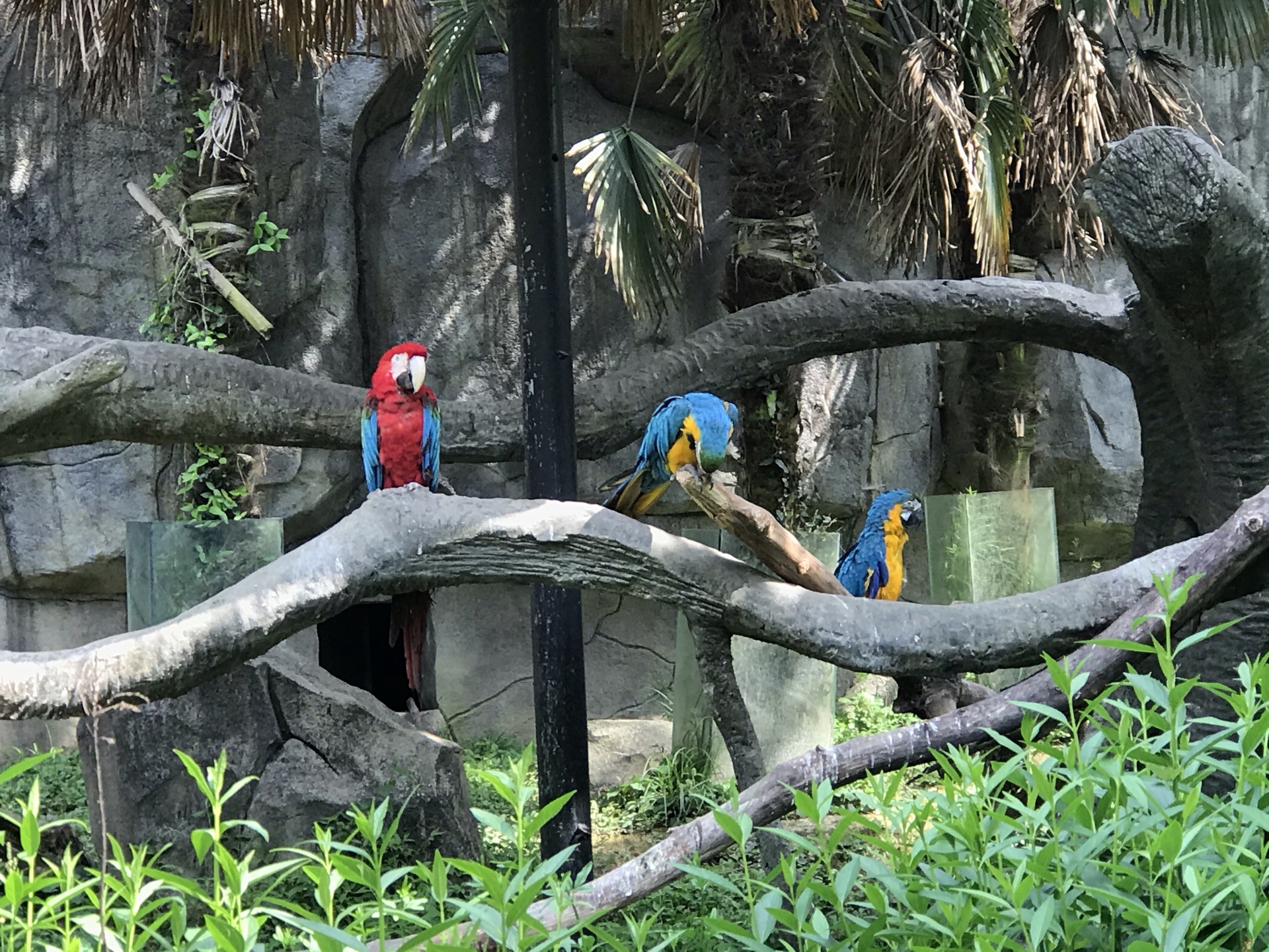 【攜程攻略】寧波雅戈爾動物園適合單獨旅行旅遊嗎,雅戈爾動物園單獨