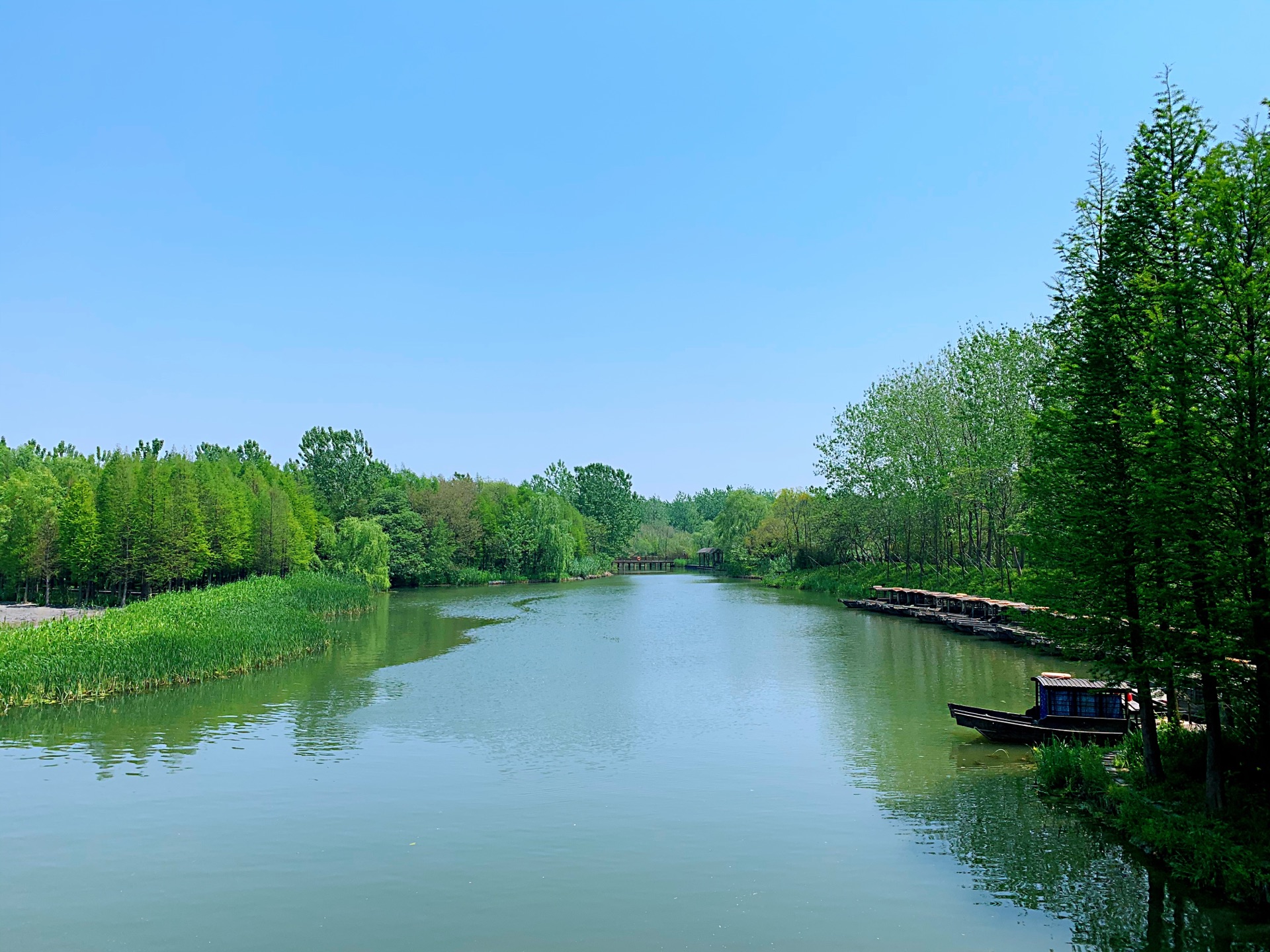 溱湖国家湿地公园