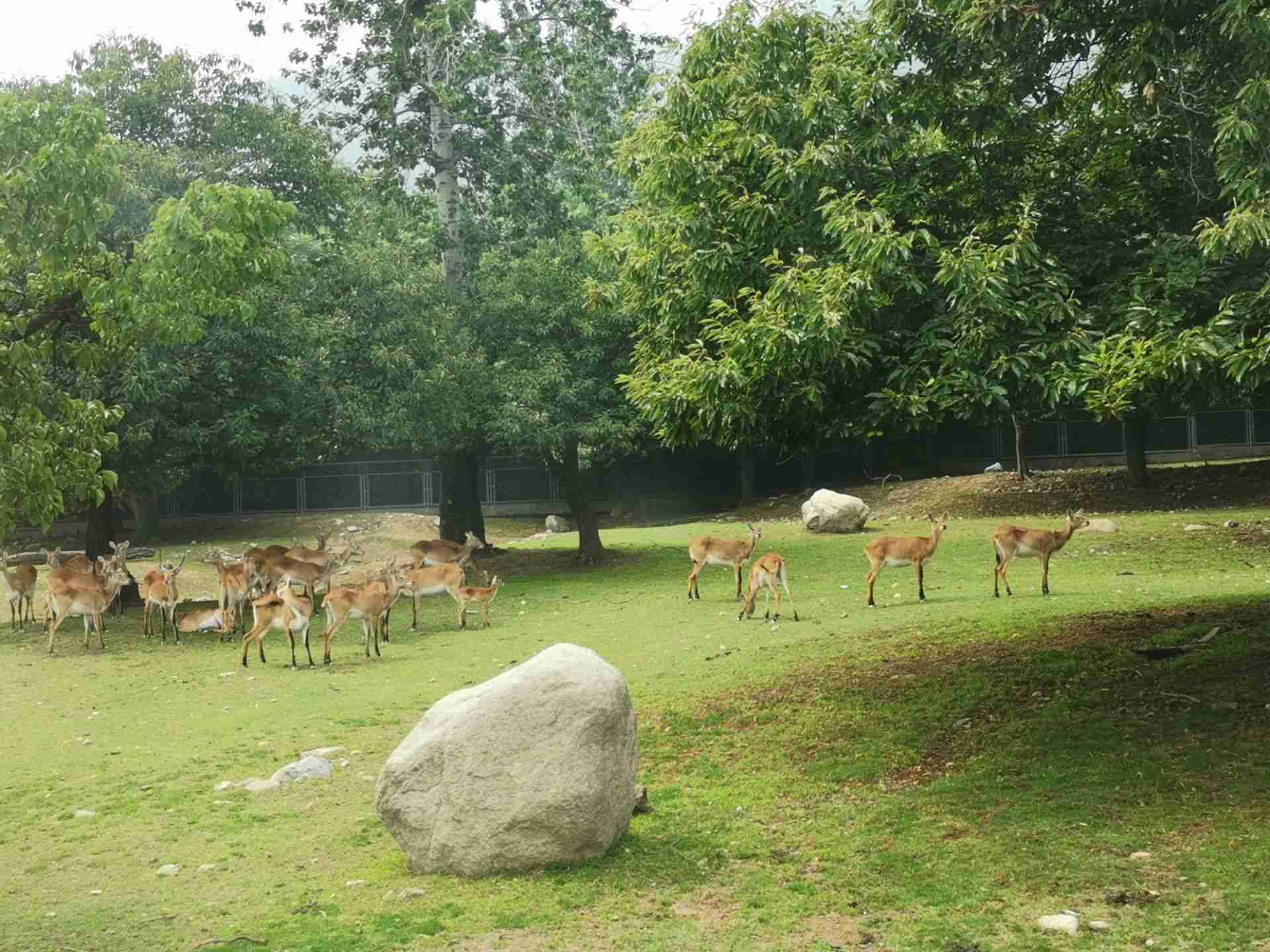 秦嶺野生動物園