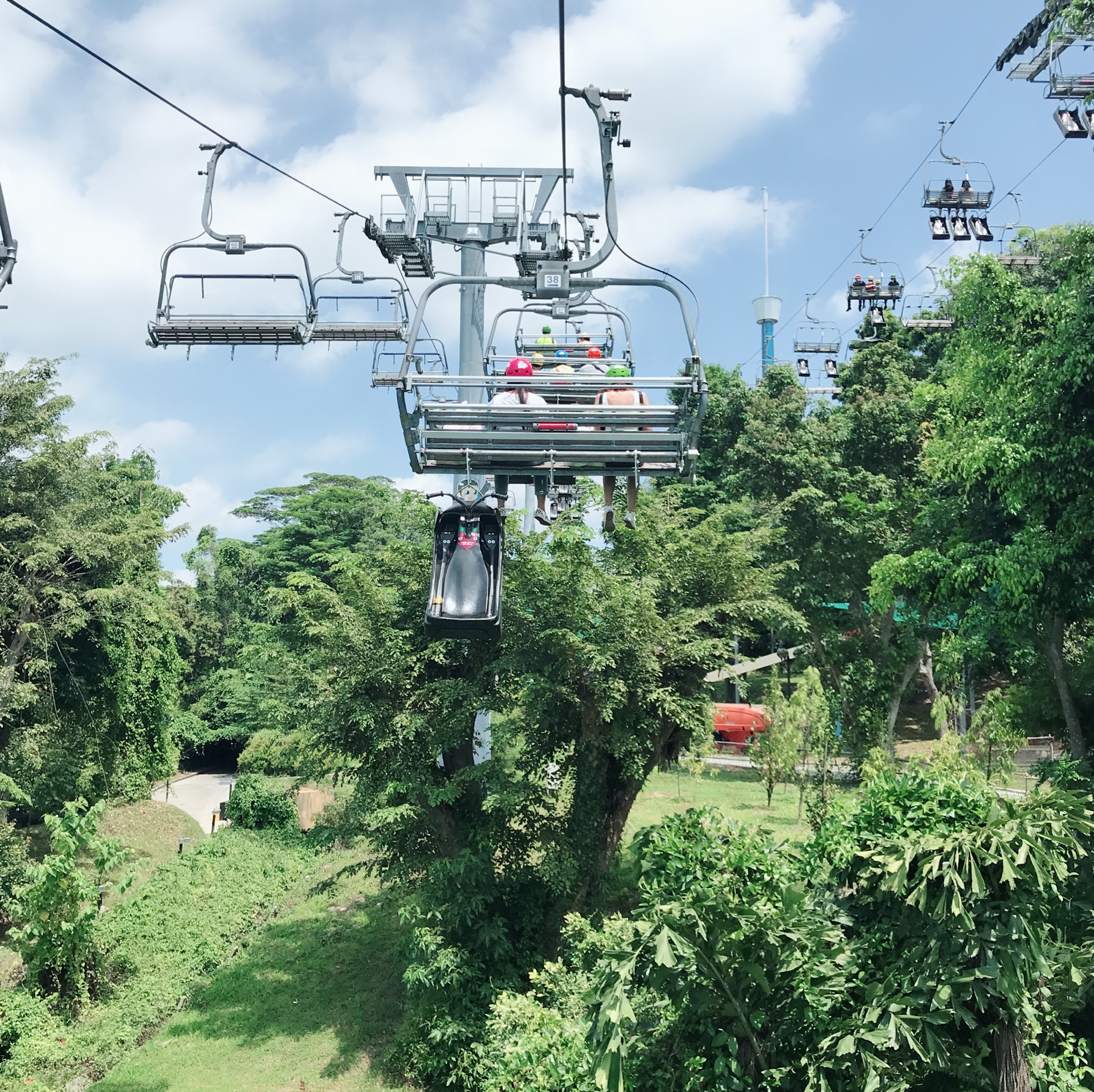 圣淘沙天际线斜坡滑车