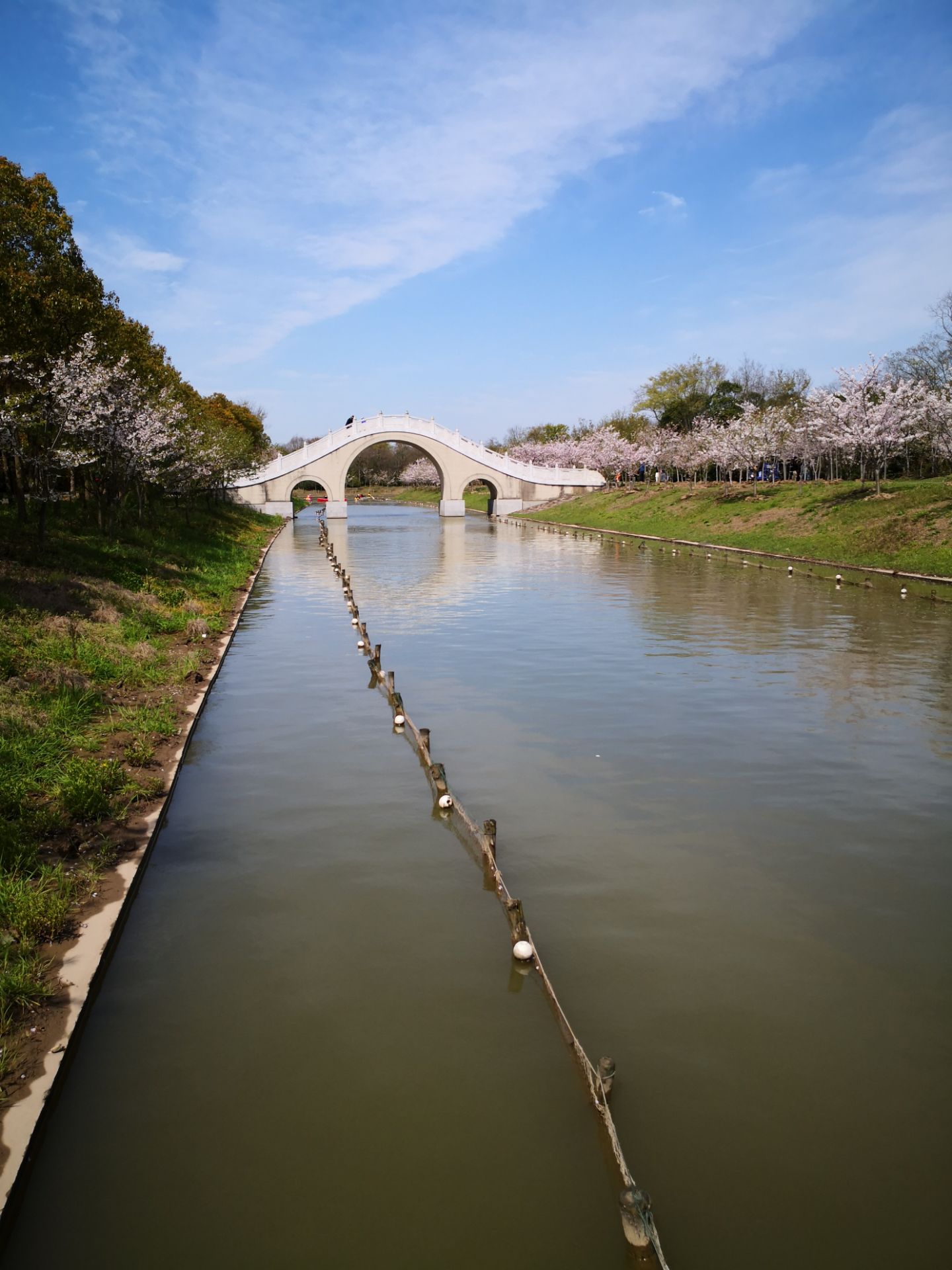 上海海湾国家森林公园