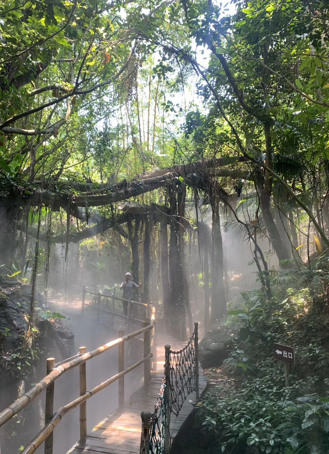 【携程攻略】深圳青青世界适合单独旅行旅游吗,青青世界单独旅行景点