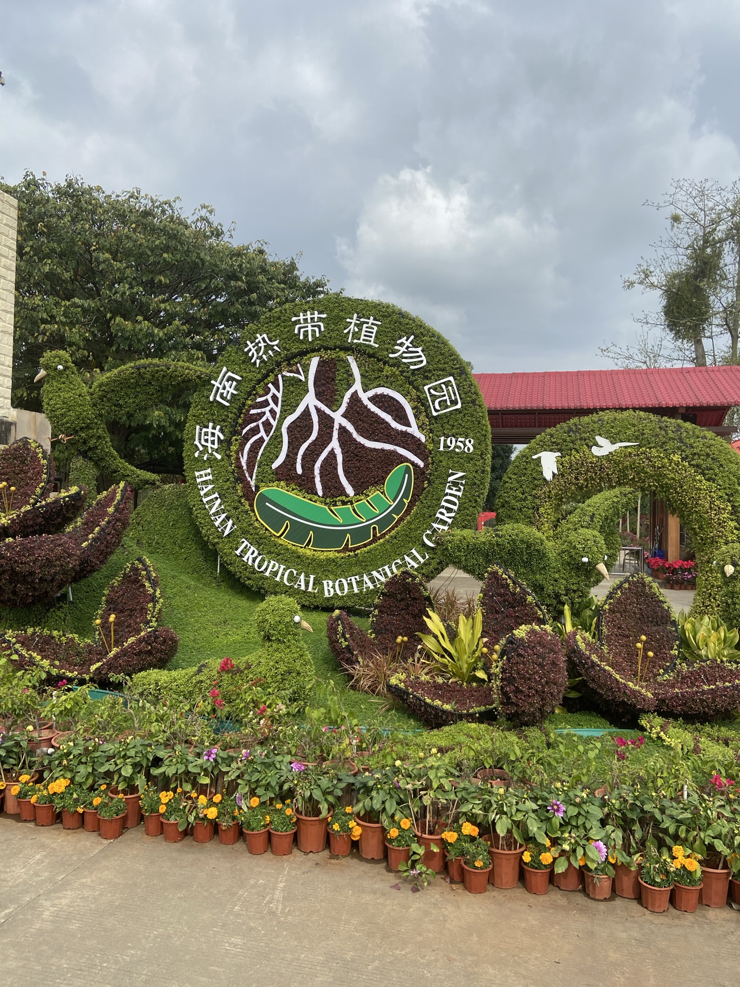 三亚南天门热带植物园图片