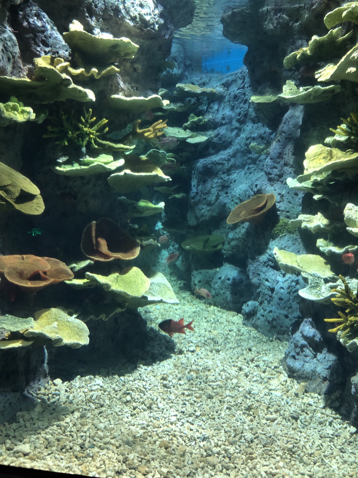 罗源罗源湾海洋世界好玩吗,罗源罗源湾海洋世界景点怎么样_点评_评价