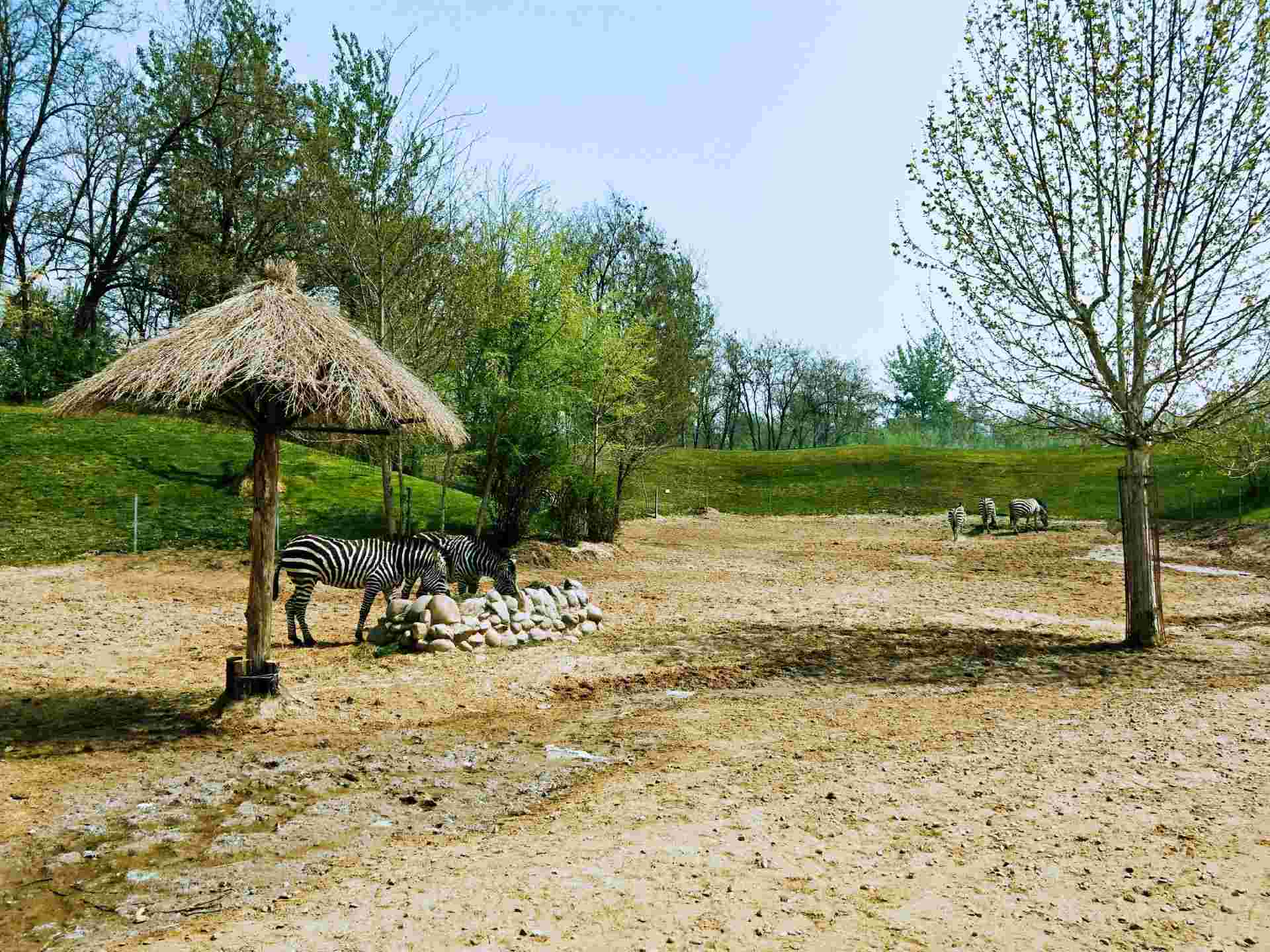 北京野生动物园